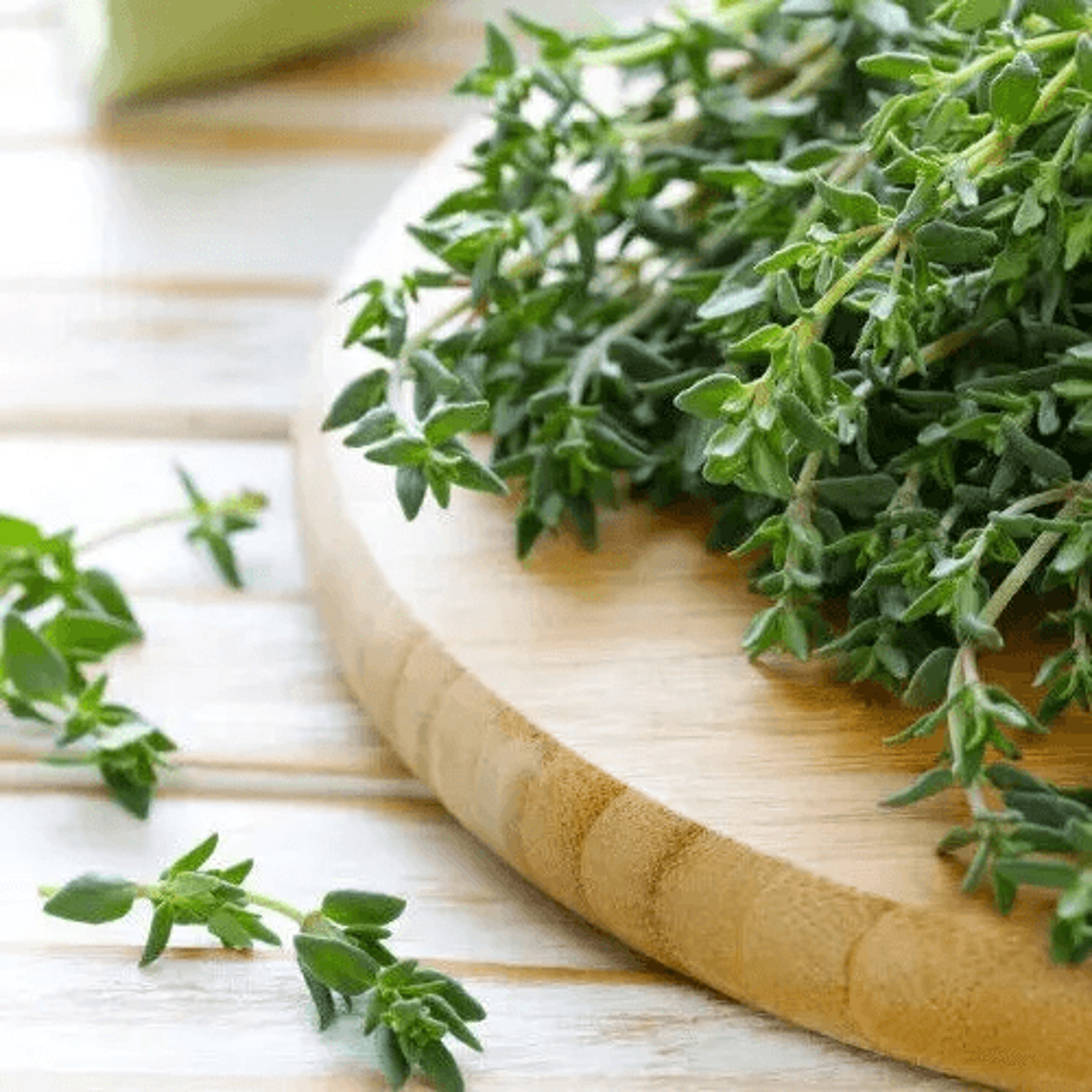 heirloom thyme seeds, non-gmo, open pollinated herb seeds for gardening & cooking