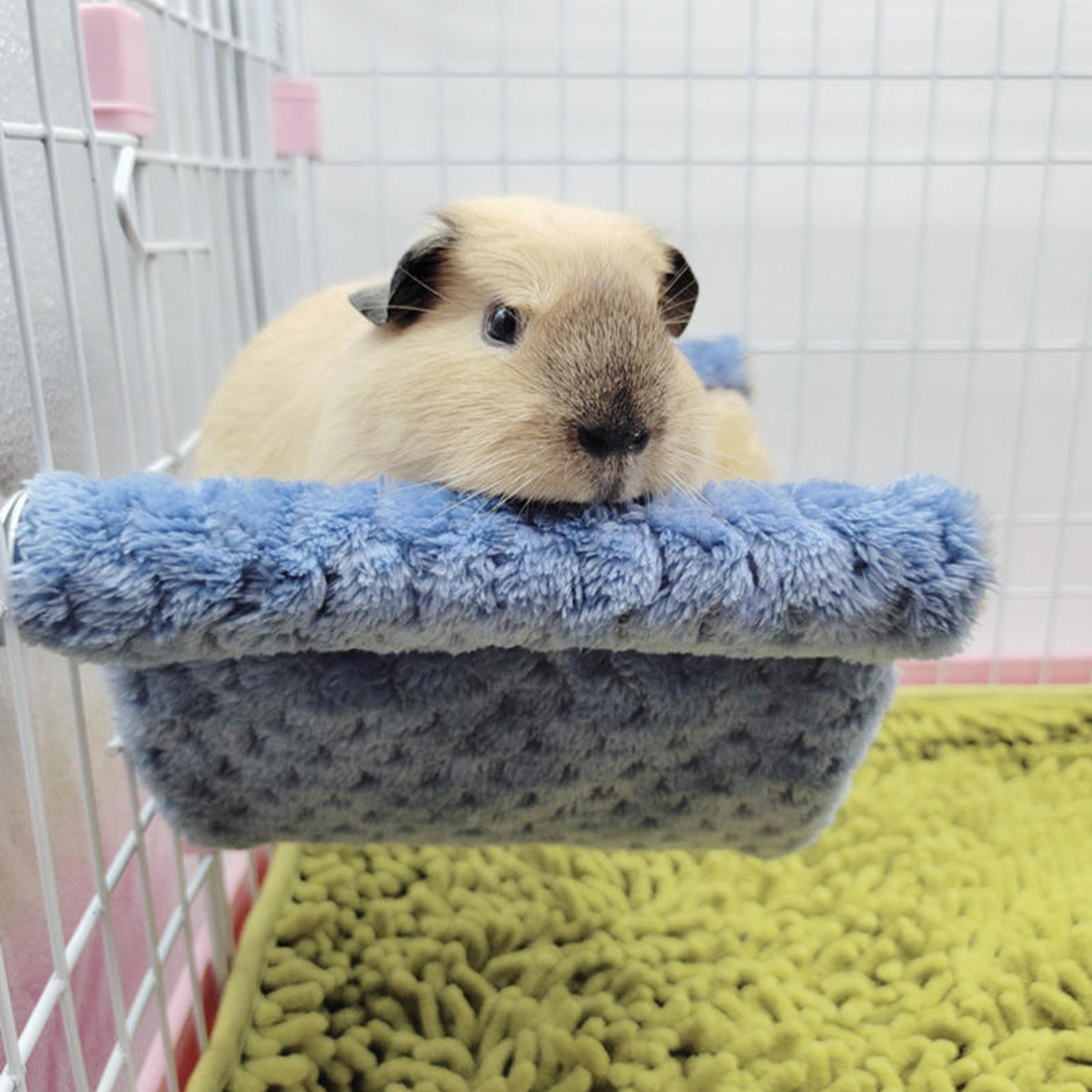 warm plush small pet sleeping bag nest, hamster hammock for rat squirrel hanging cage house accessories supplies