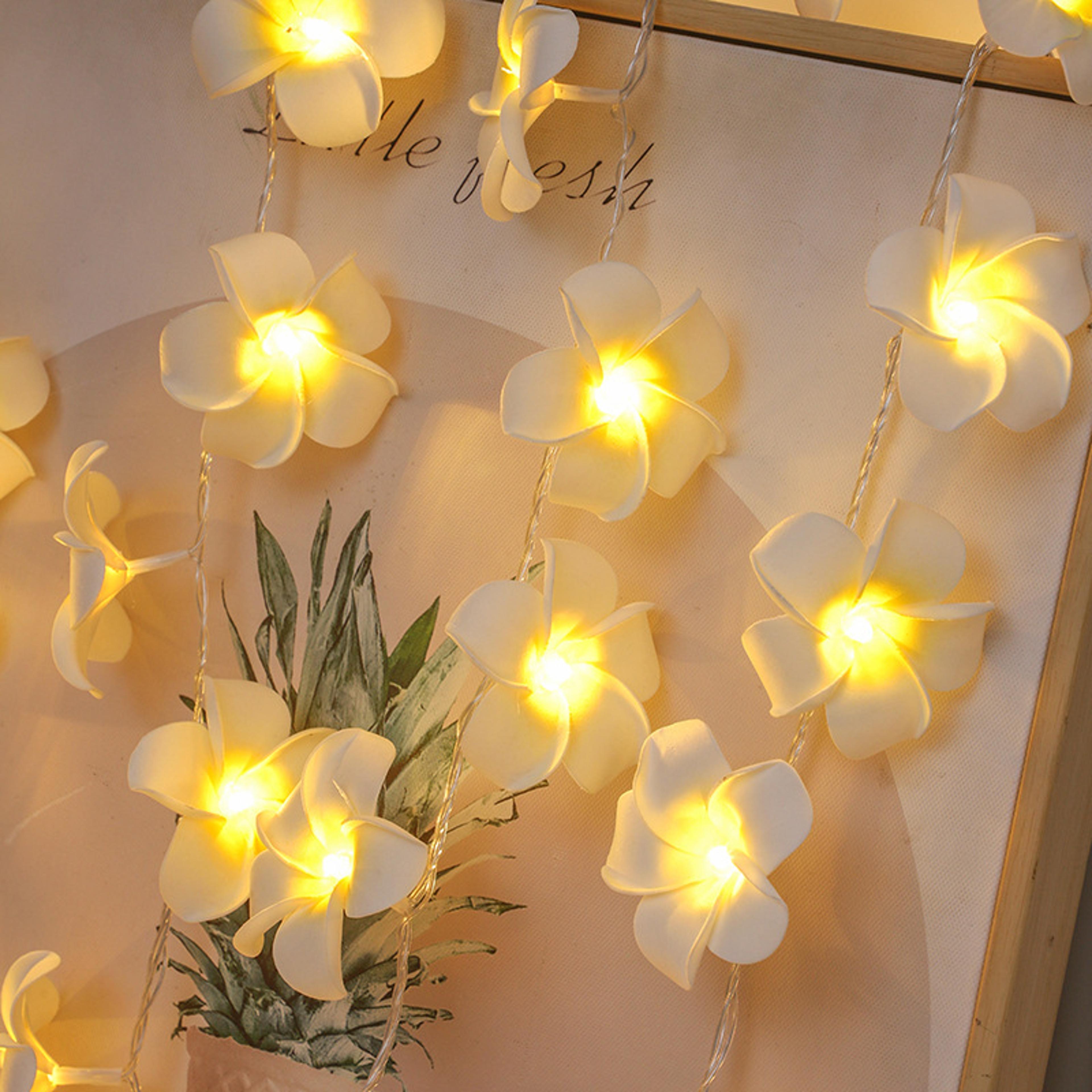 battery box powered led egg flower string light for room, wedding, valentine's day, indoor festival party, bedroom decor