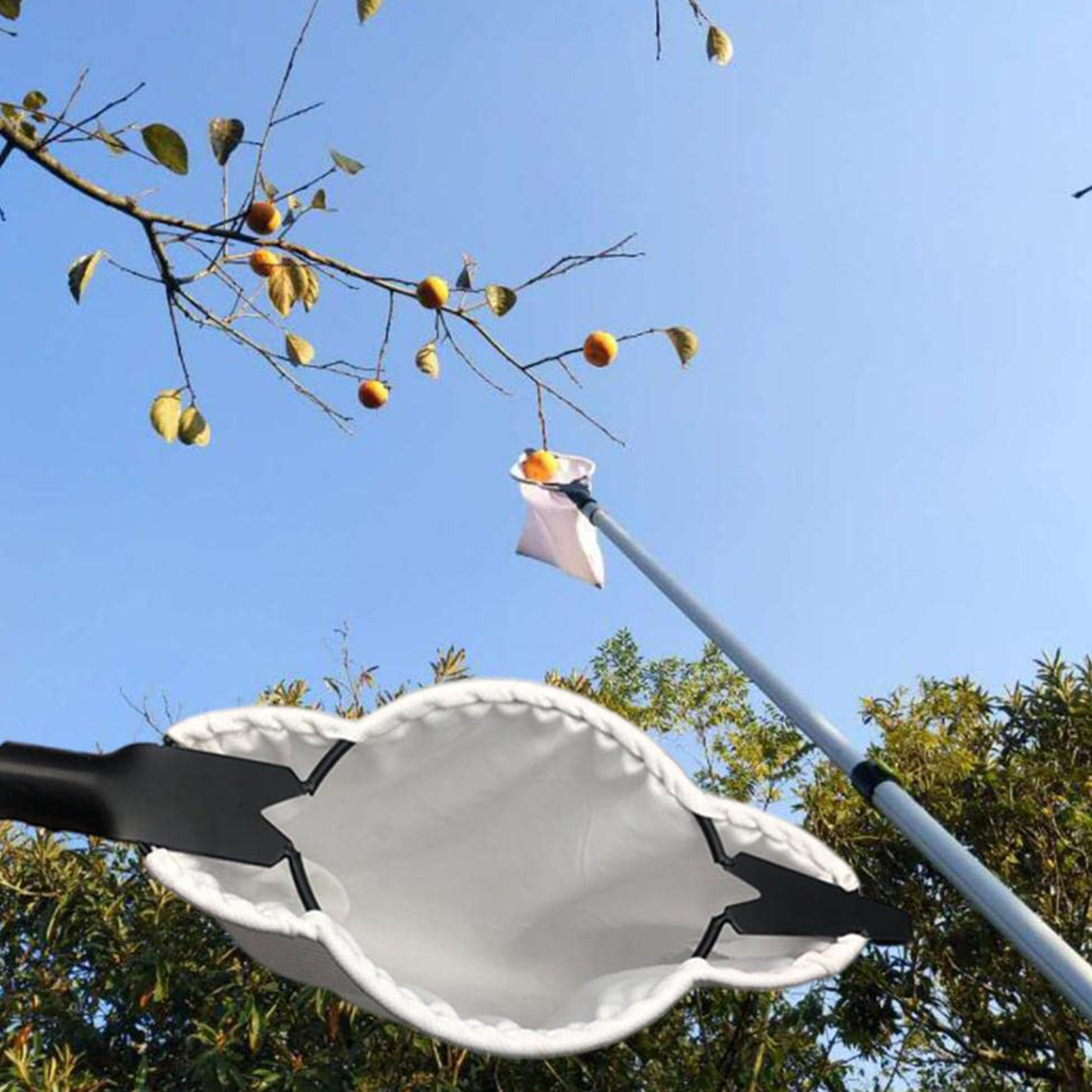 fruit picker orchard with blade, high tree picking tool, fruit catcher collection pouch for garden & farm supplies