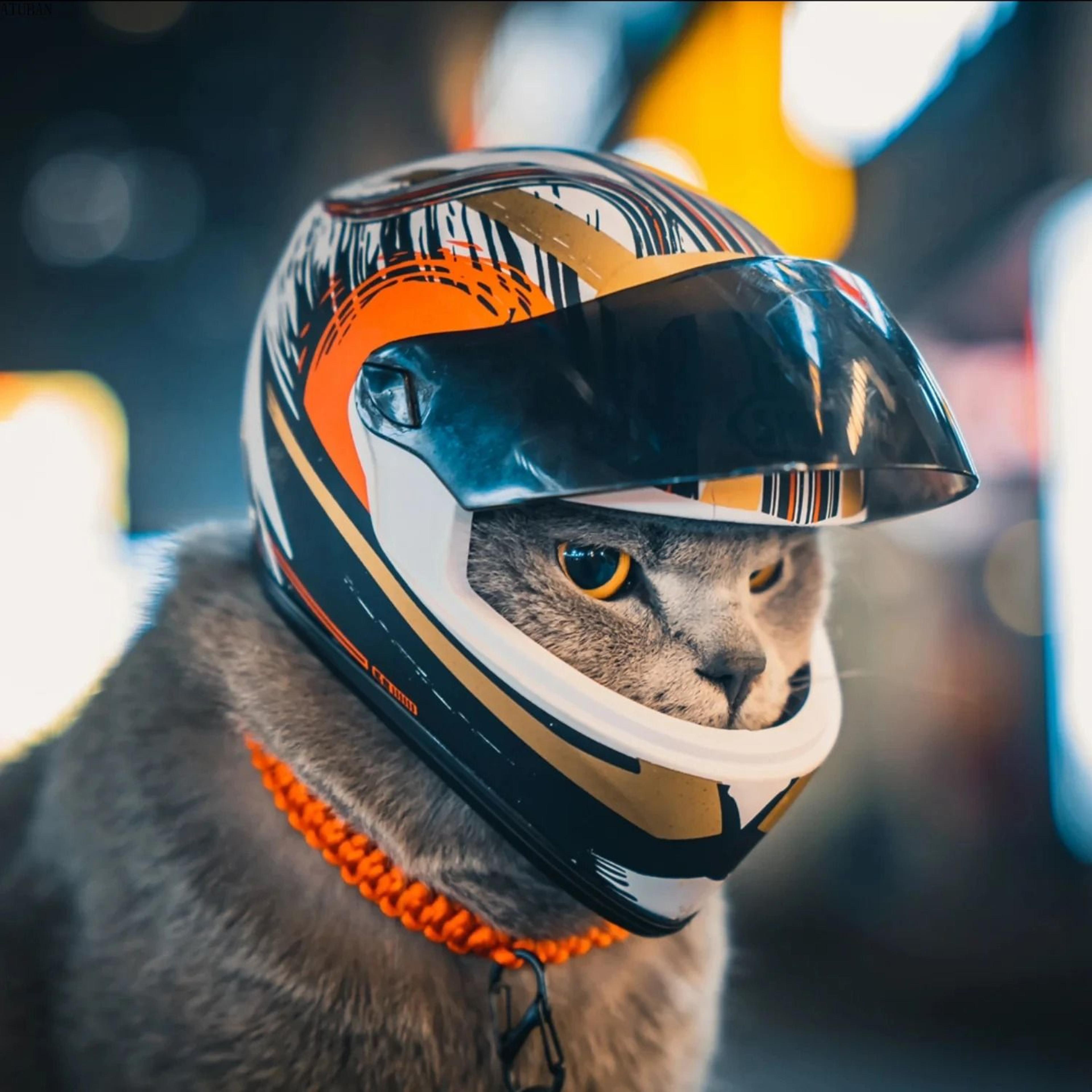mini pet helmet for cats and dogs safety photo prop