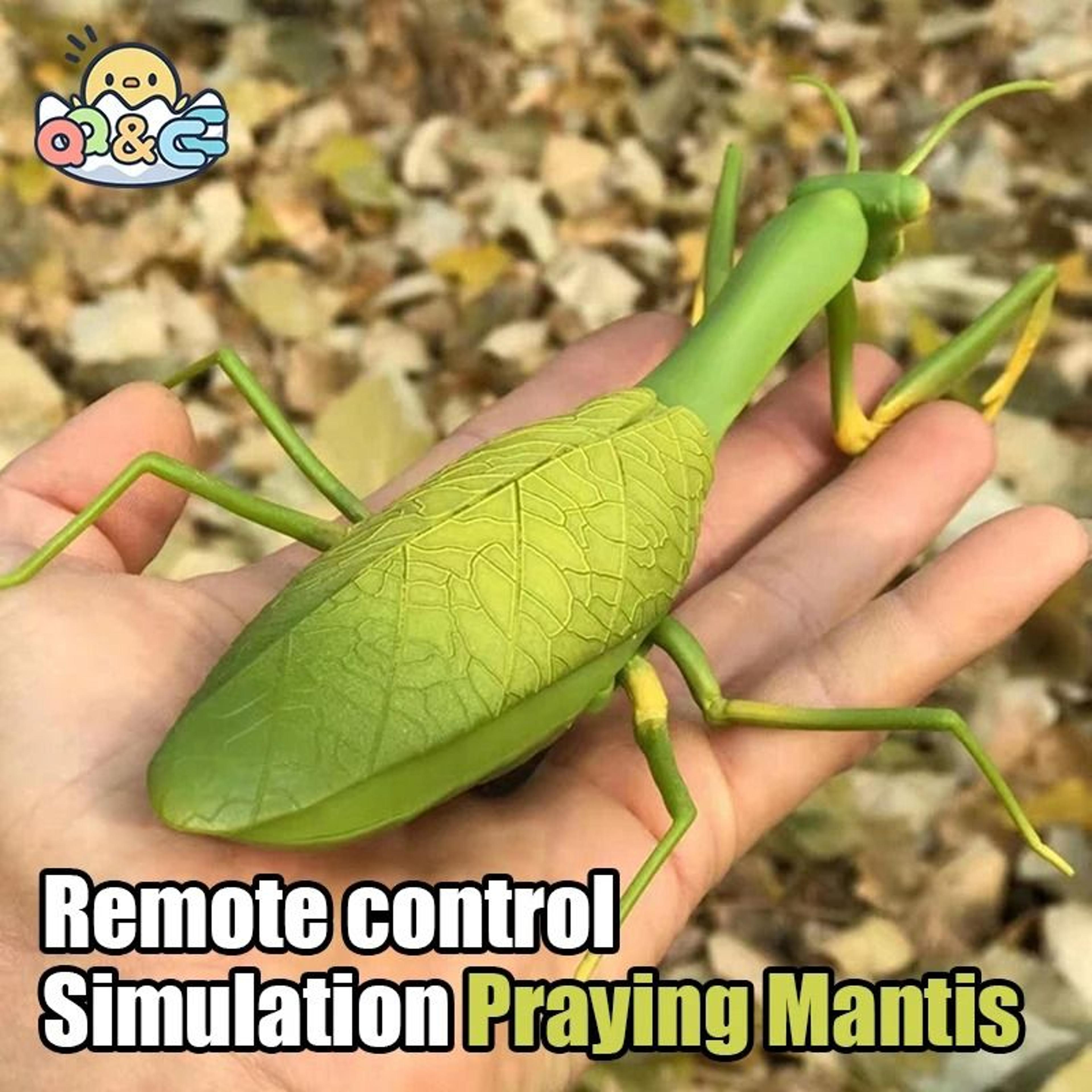 rc animal robot insect toy for kids