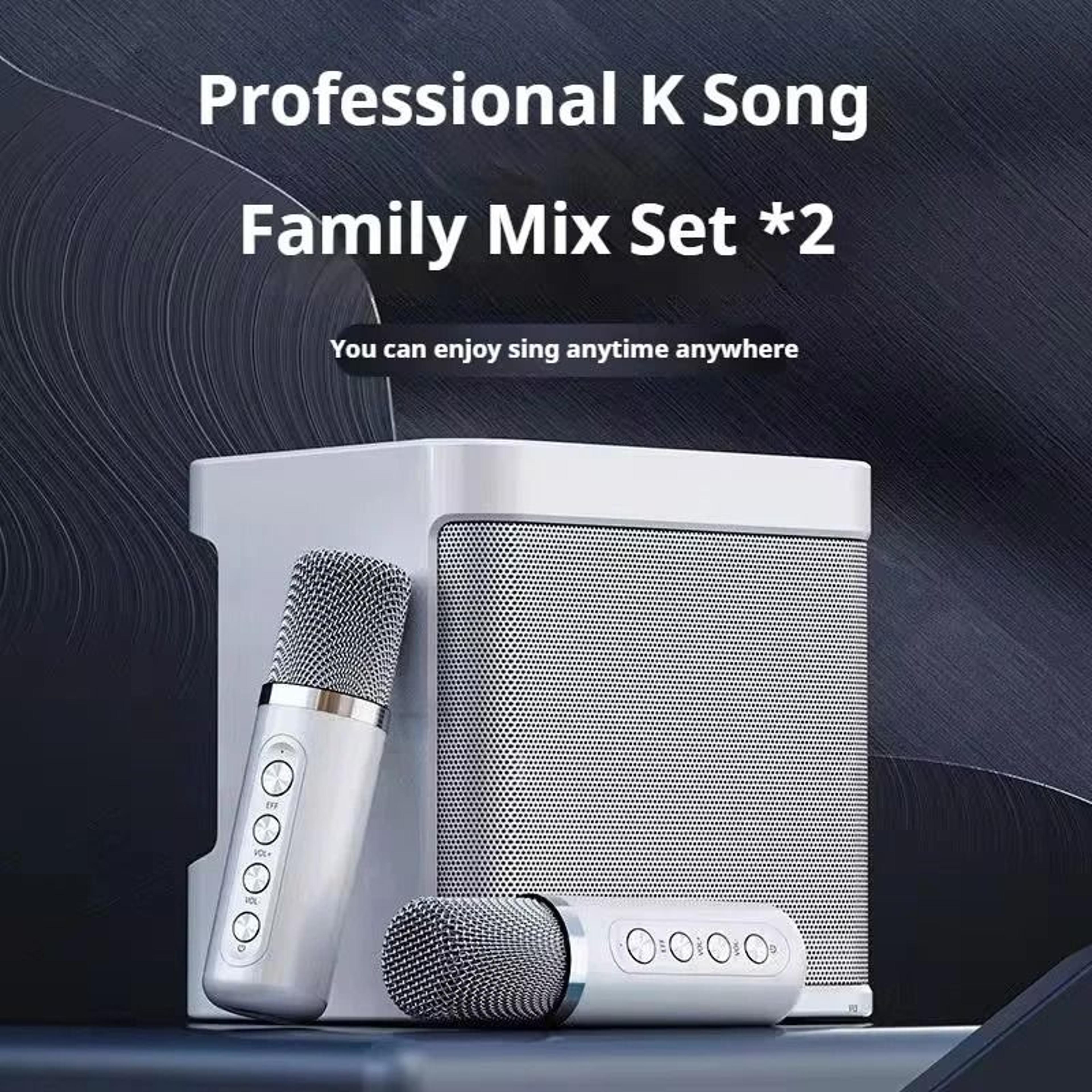 portable karaoke machine with dual microphones bluetooth speaker for adults and kids