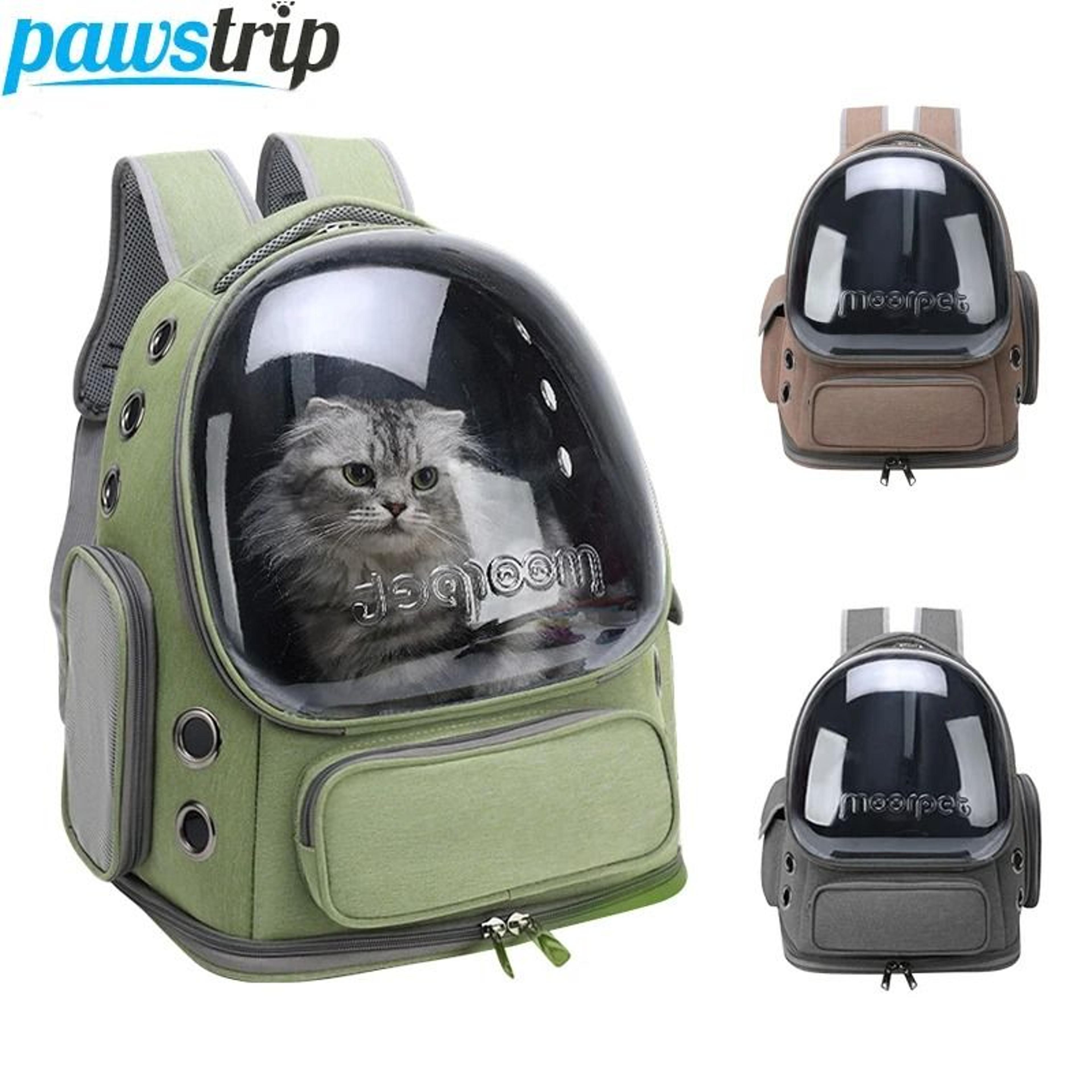 transparent pet carrier backpack for cats and small dogs with breathable design