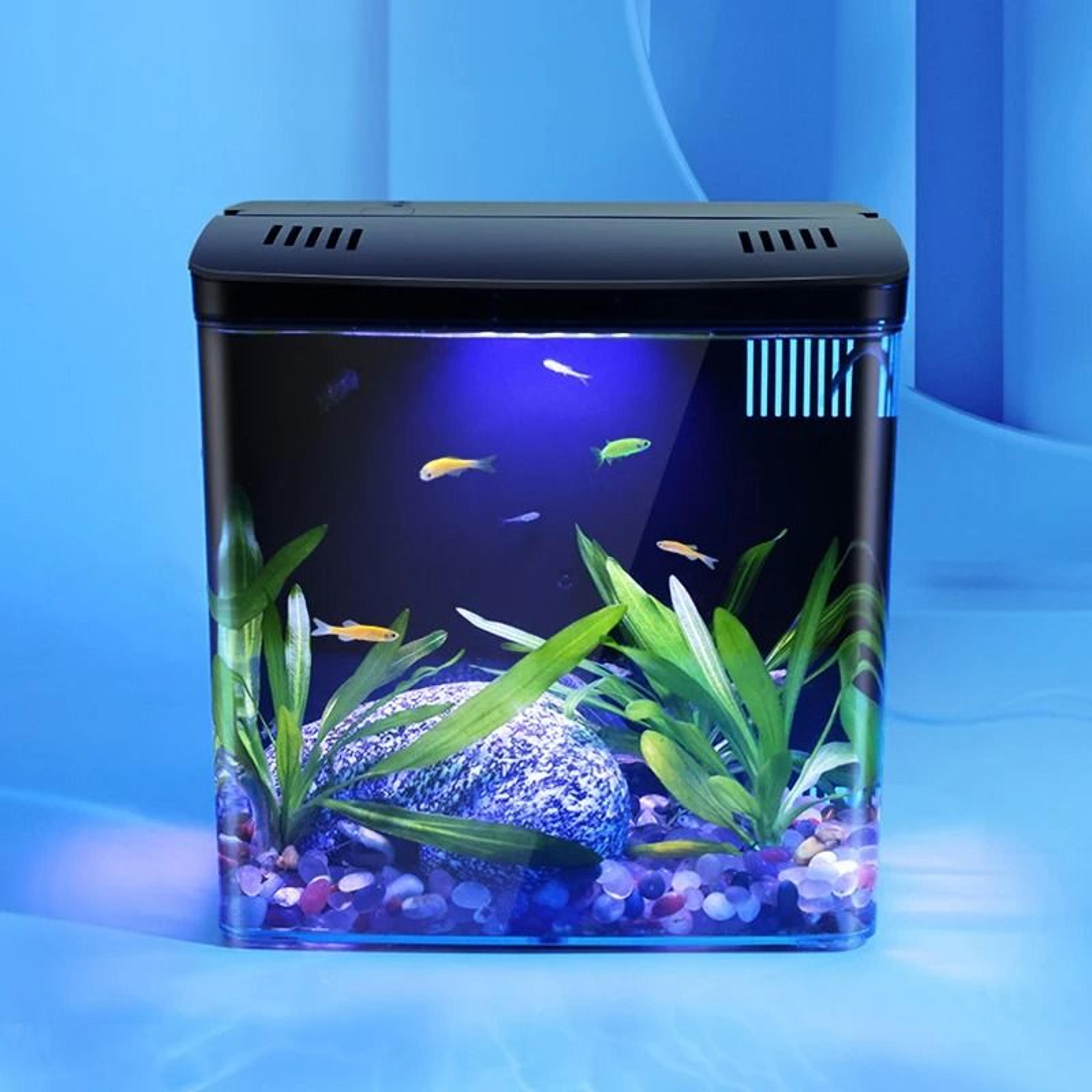 mini fish tank with self circulating filter system for living room or desktop