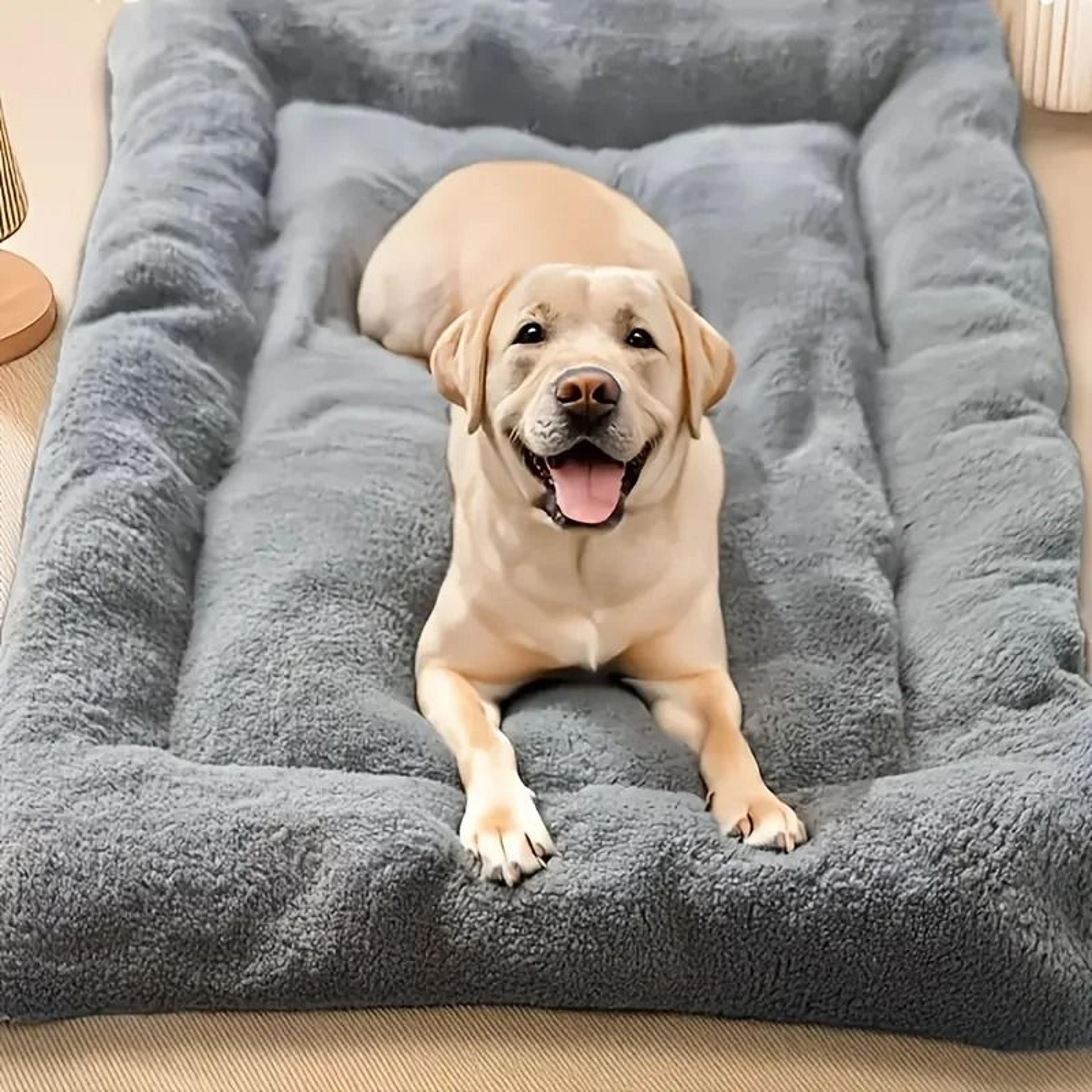 extra large plush dog bed with thick cushion and soft cover