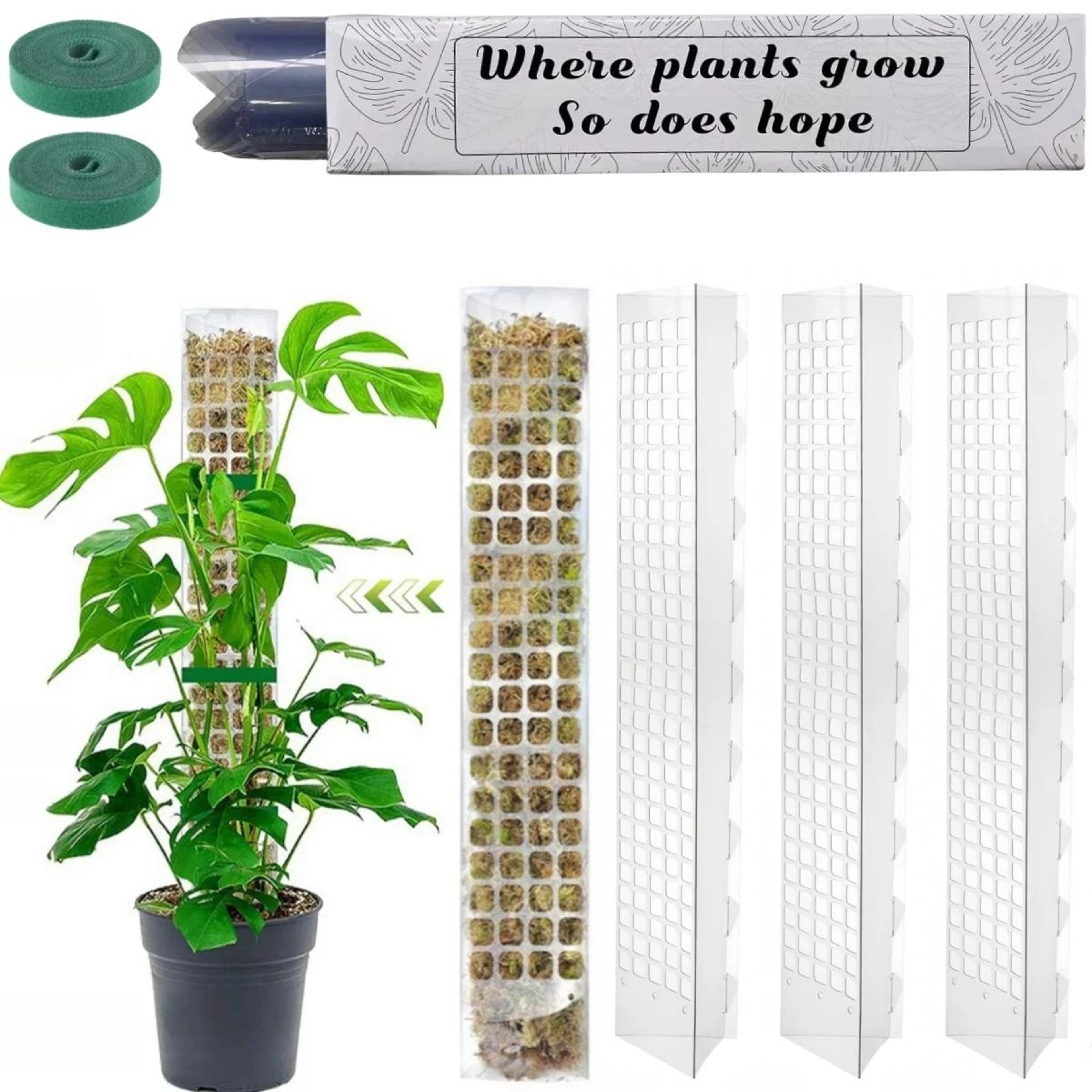 adjustable moss pole plant support for indoor climbing plants