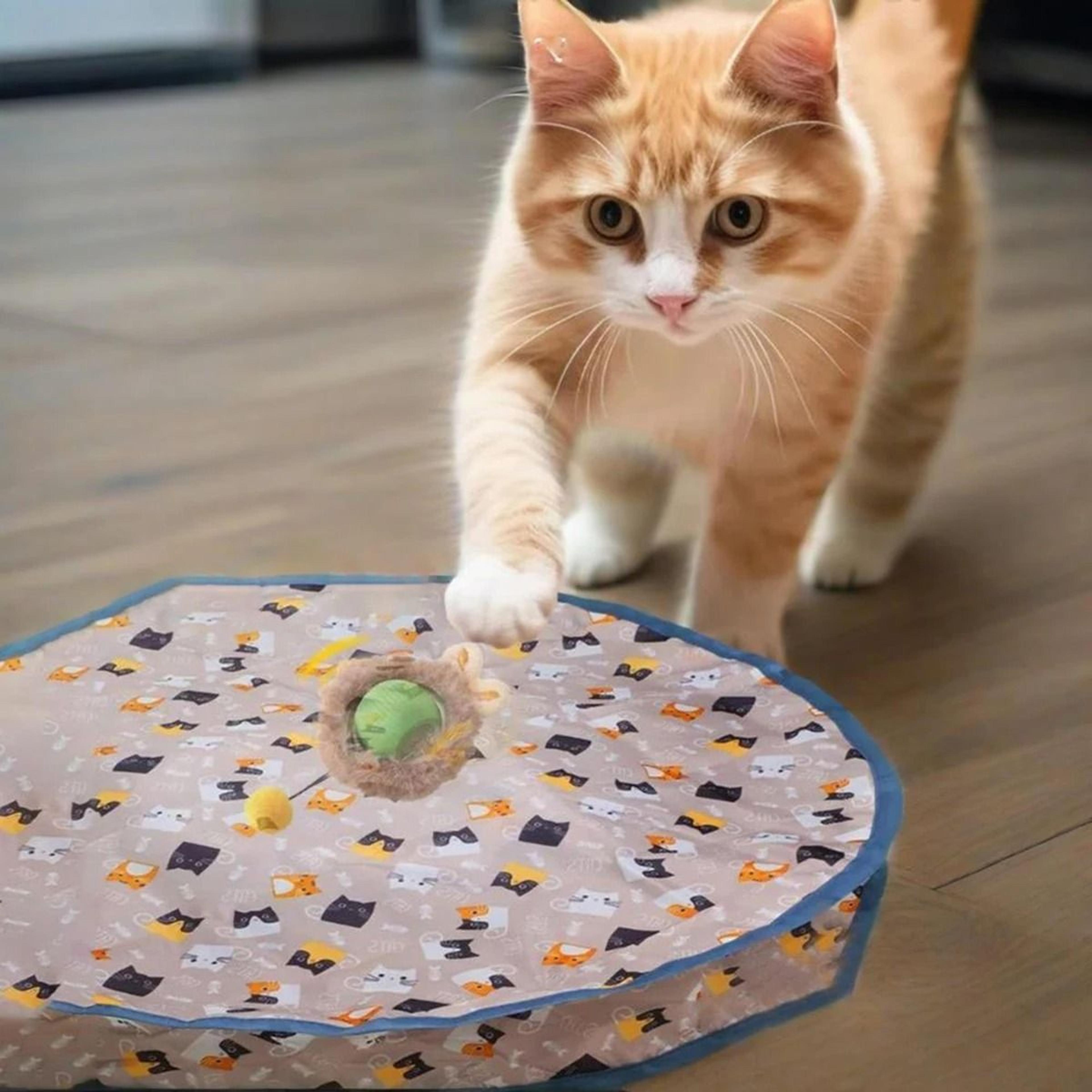 interactive cat chase toy with chirping sound and random movement