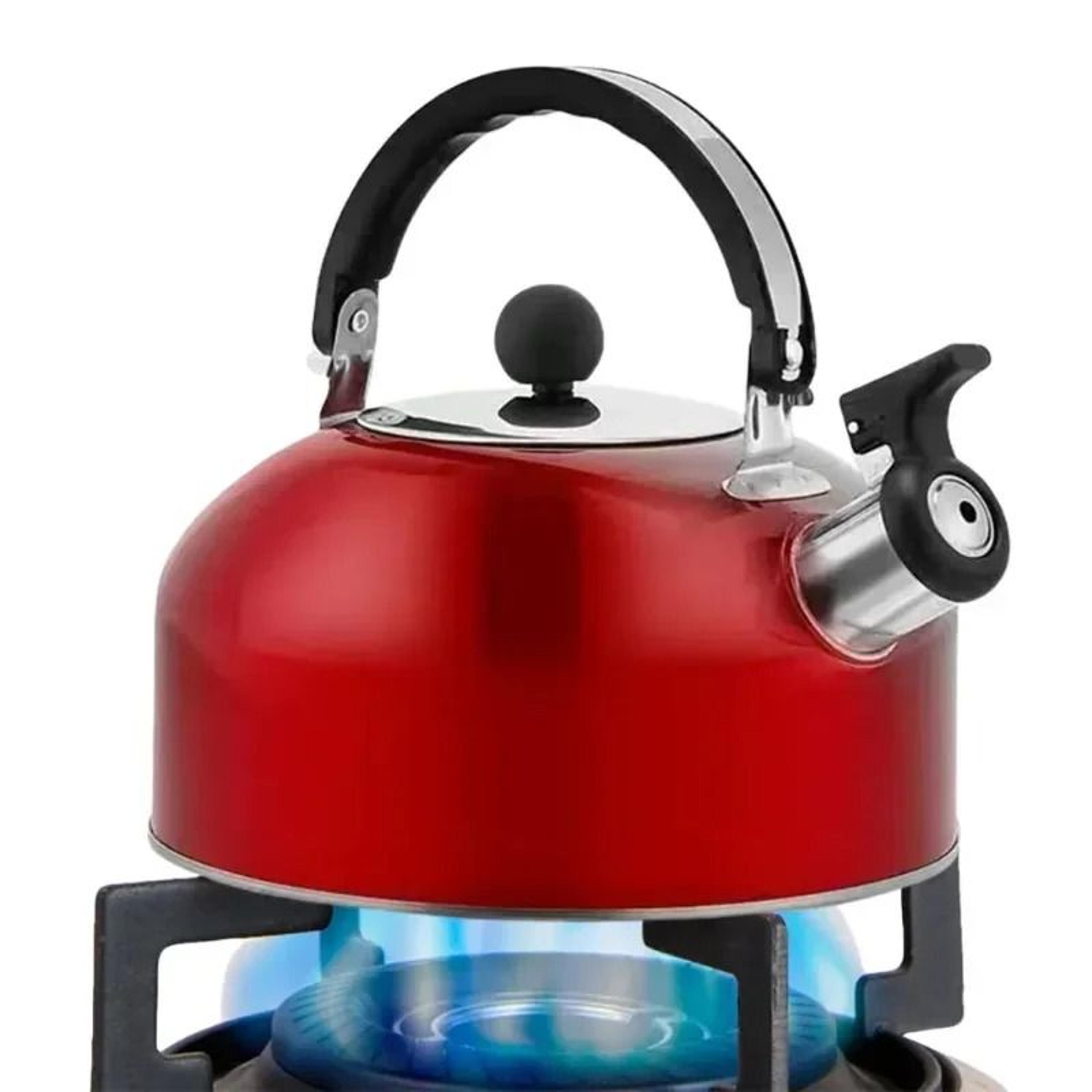 stainless steel whistling tea kettle with heat resistant handle