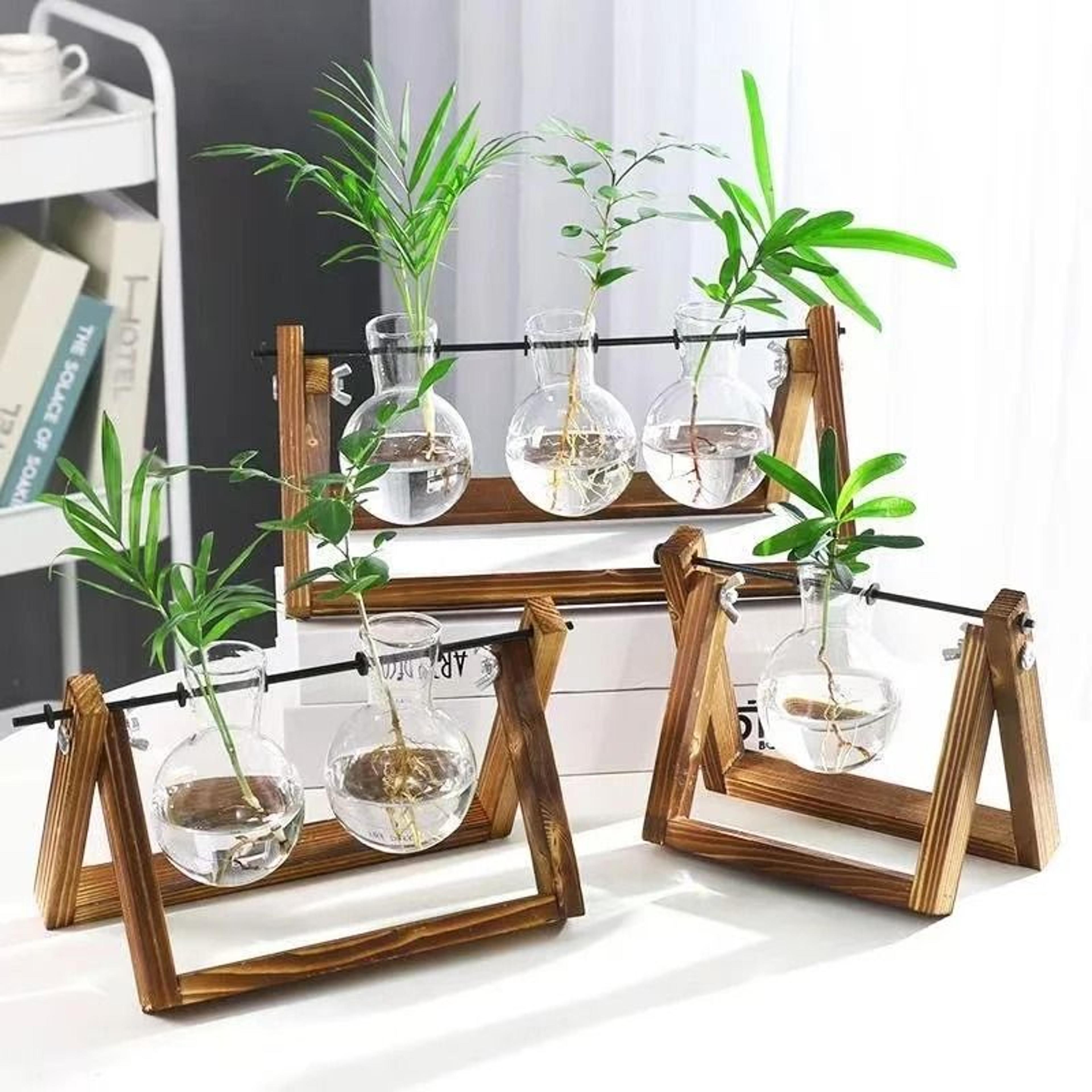 hydroponic plant vase with wooden stand