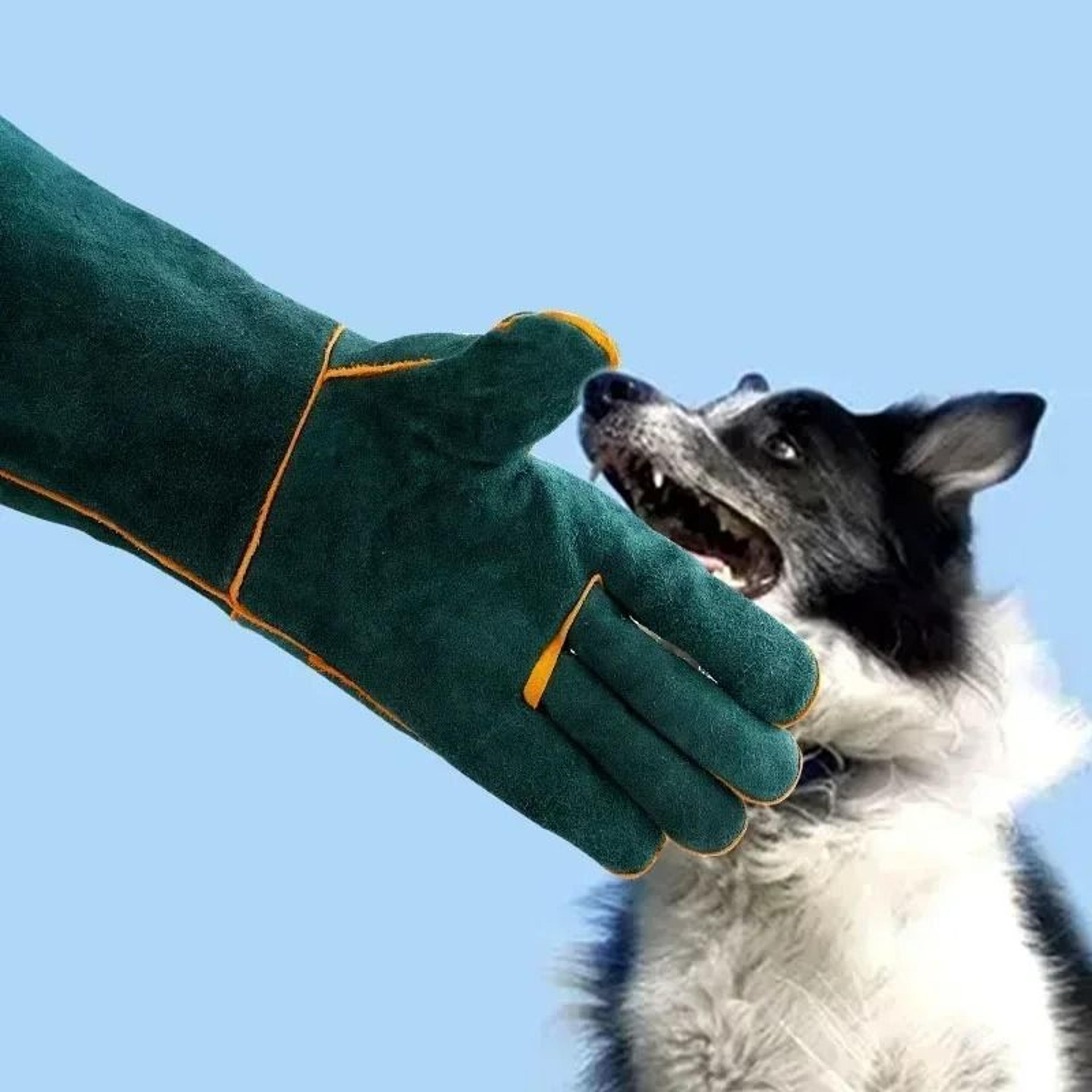 bite-proof animal handling gloves – reinforced leather safety gloves for dog, cat, and snake grooming