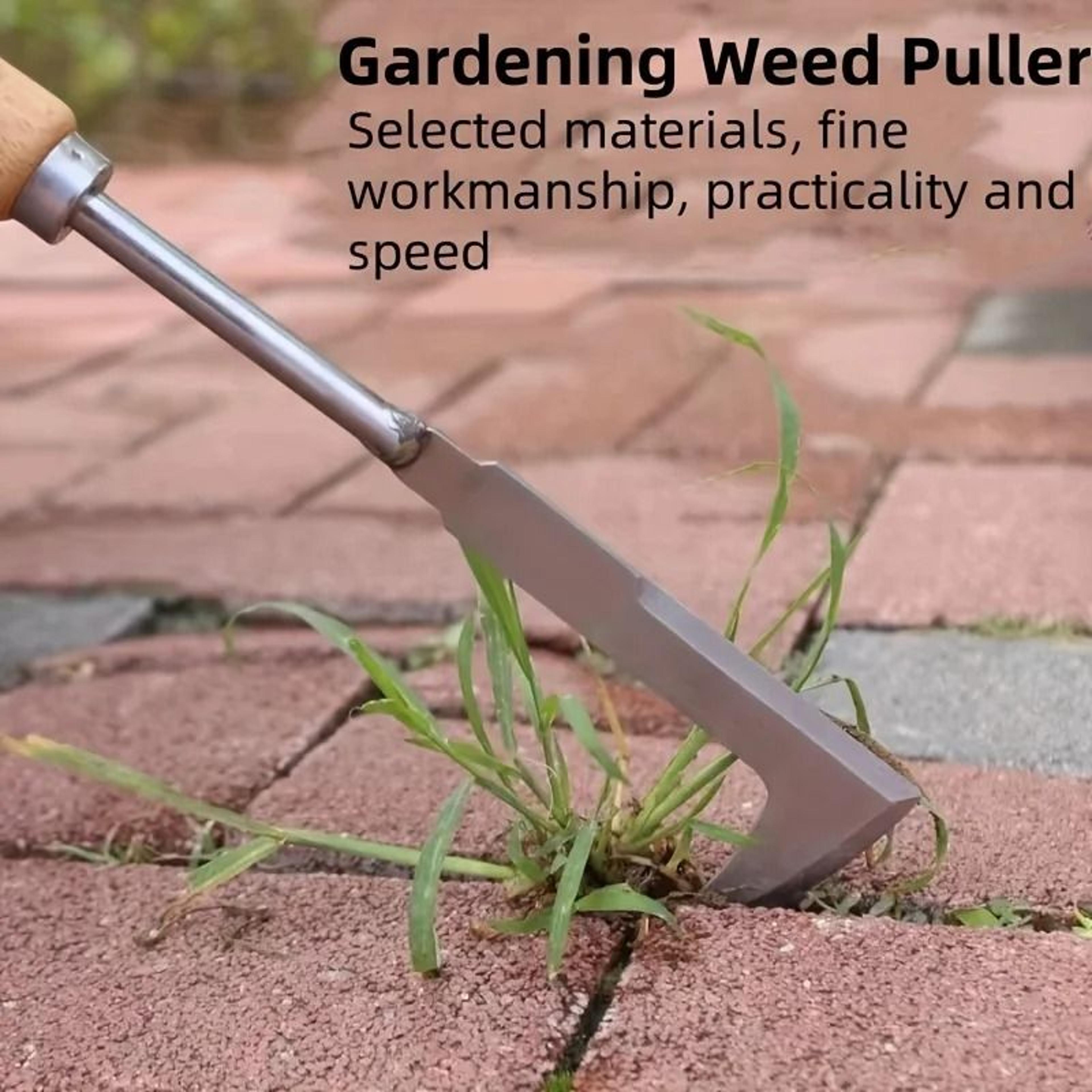 stainless steel gap weeding tool with wooden handle for garden and patio cleaning