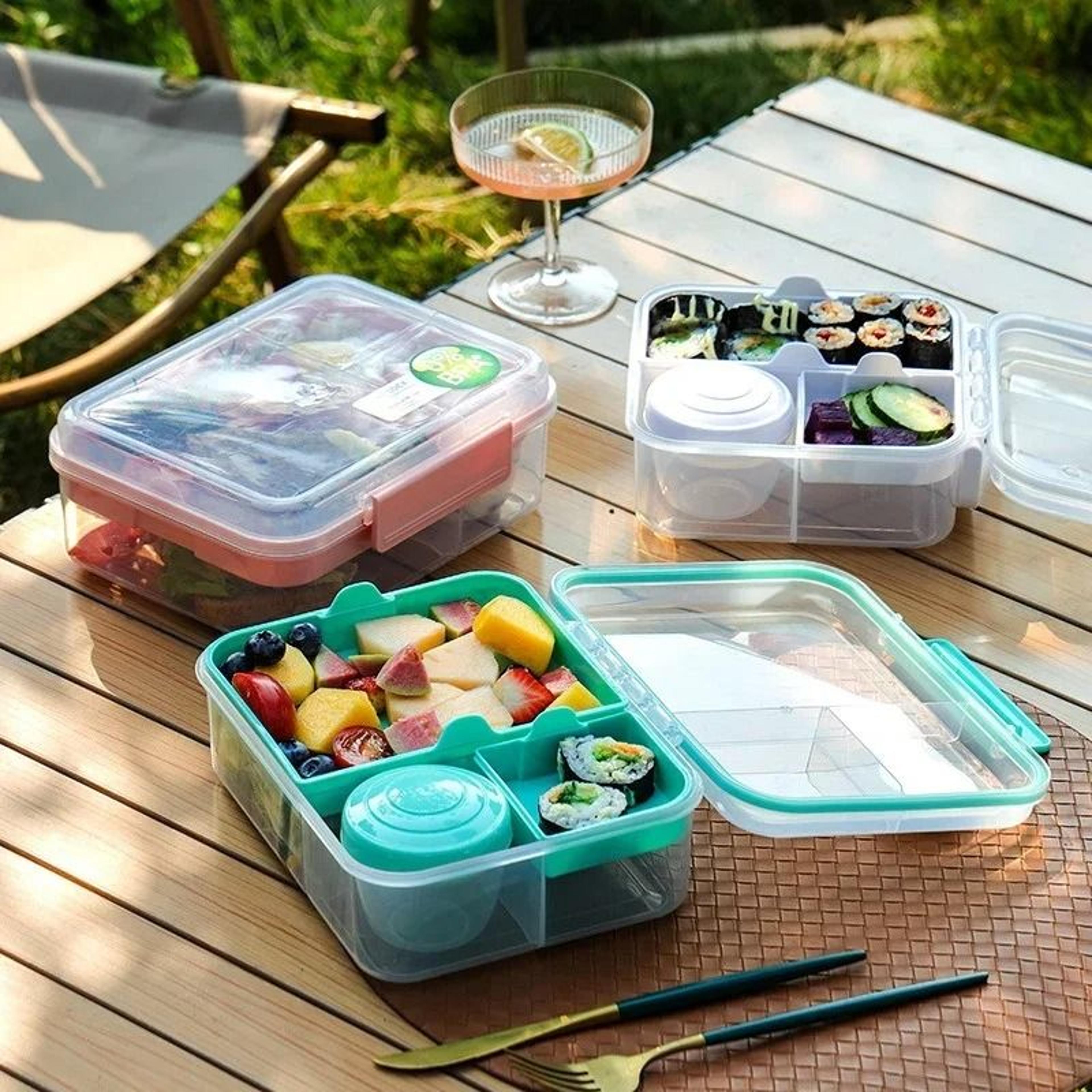 double layer bento lunch box with carry handle