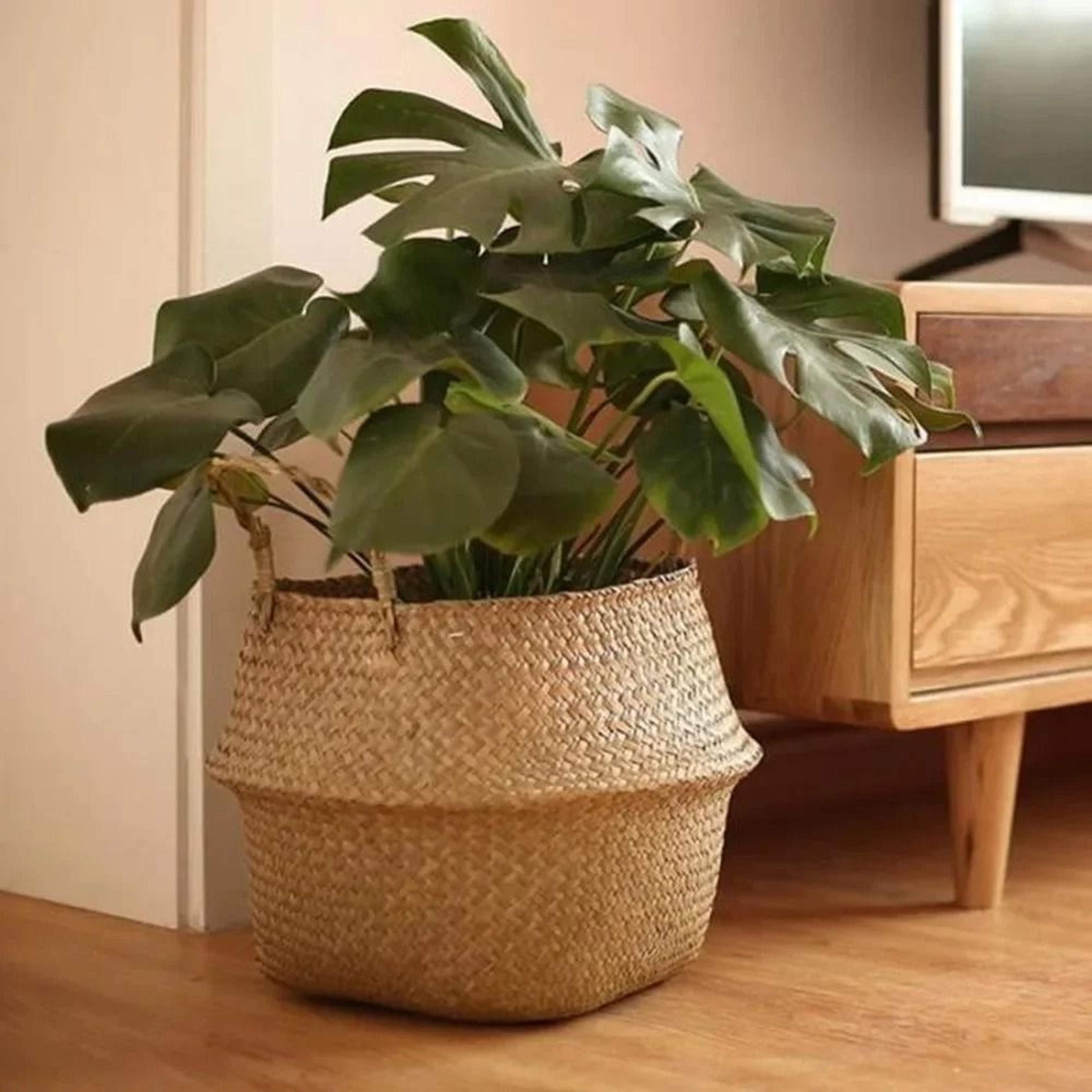 handwoven seagrass storage basket with handles