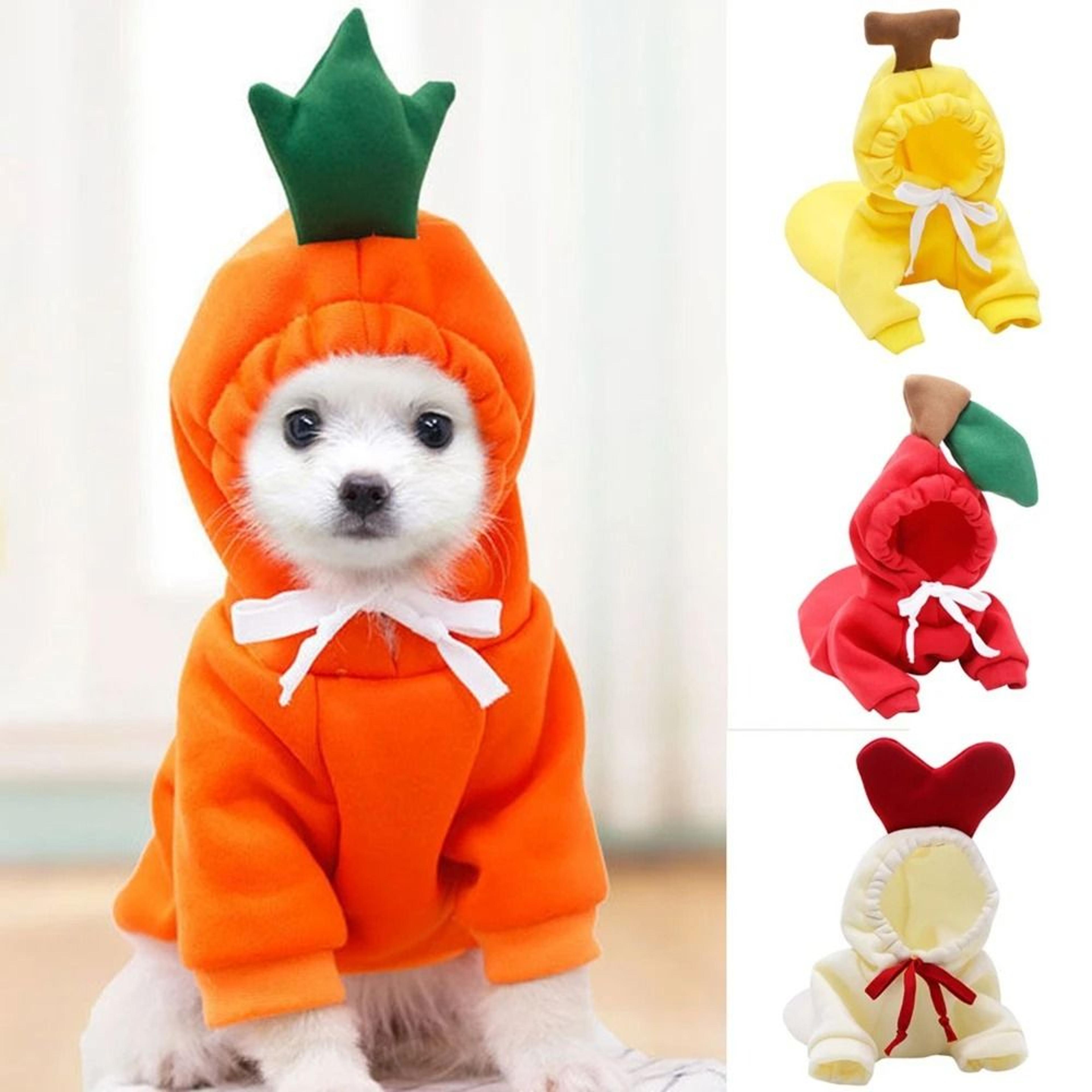 cute fruit fleece dog hoodie for small dogs and cats
