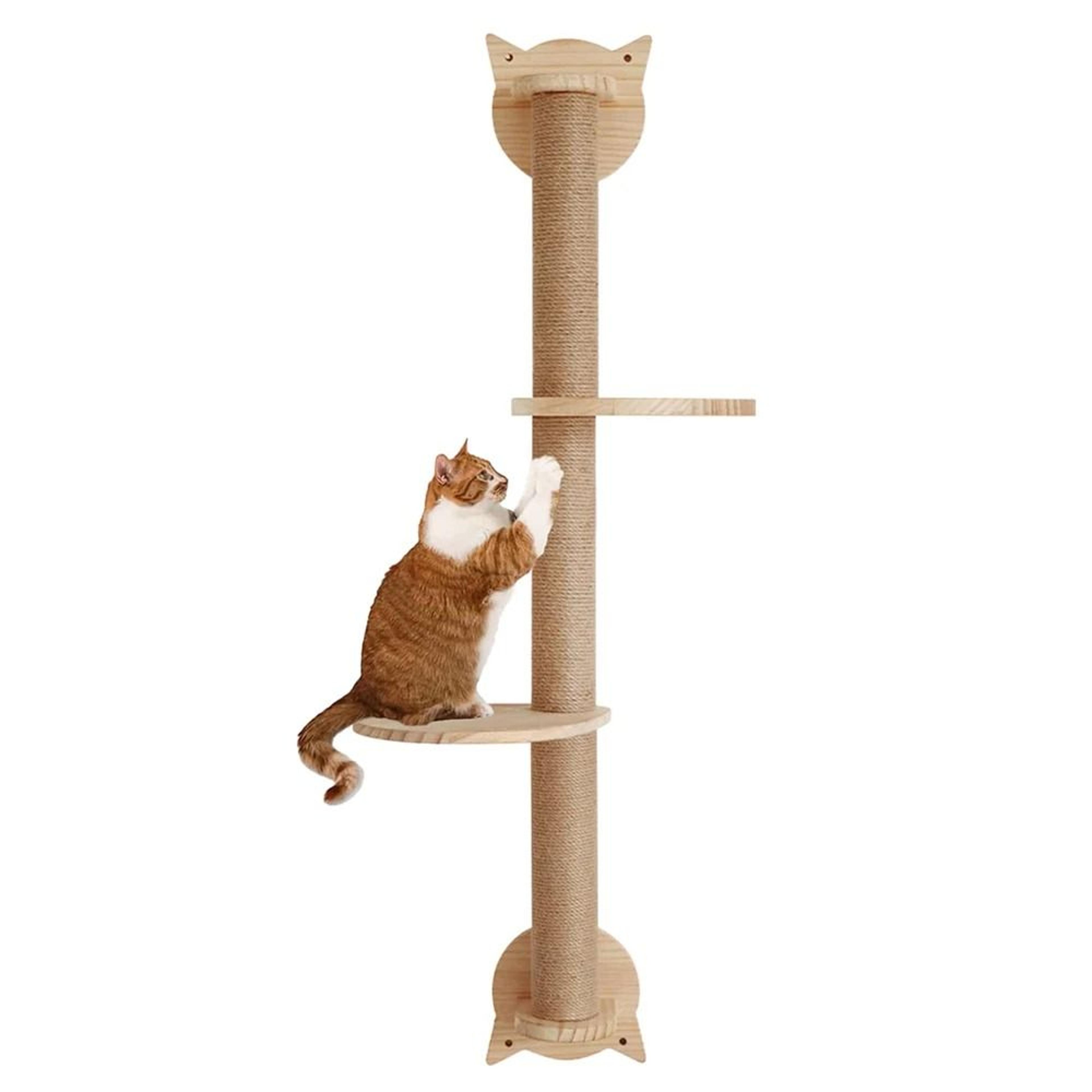 wall mounted cat tree with scratching posts perches and hammock