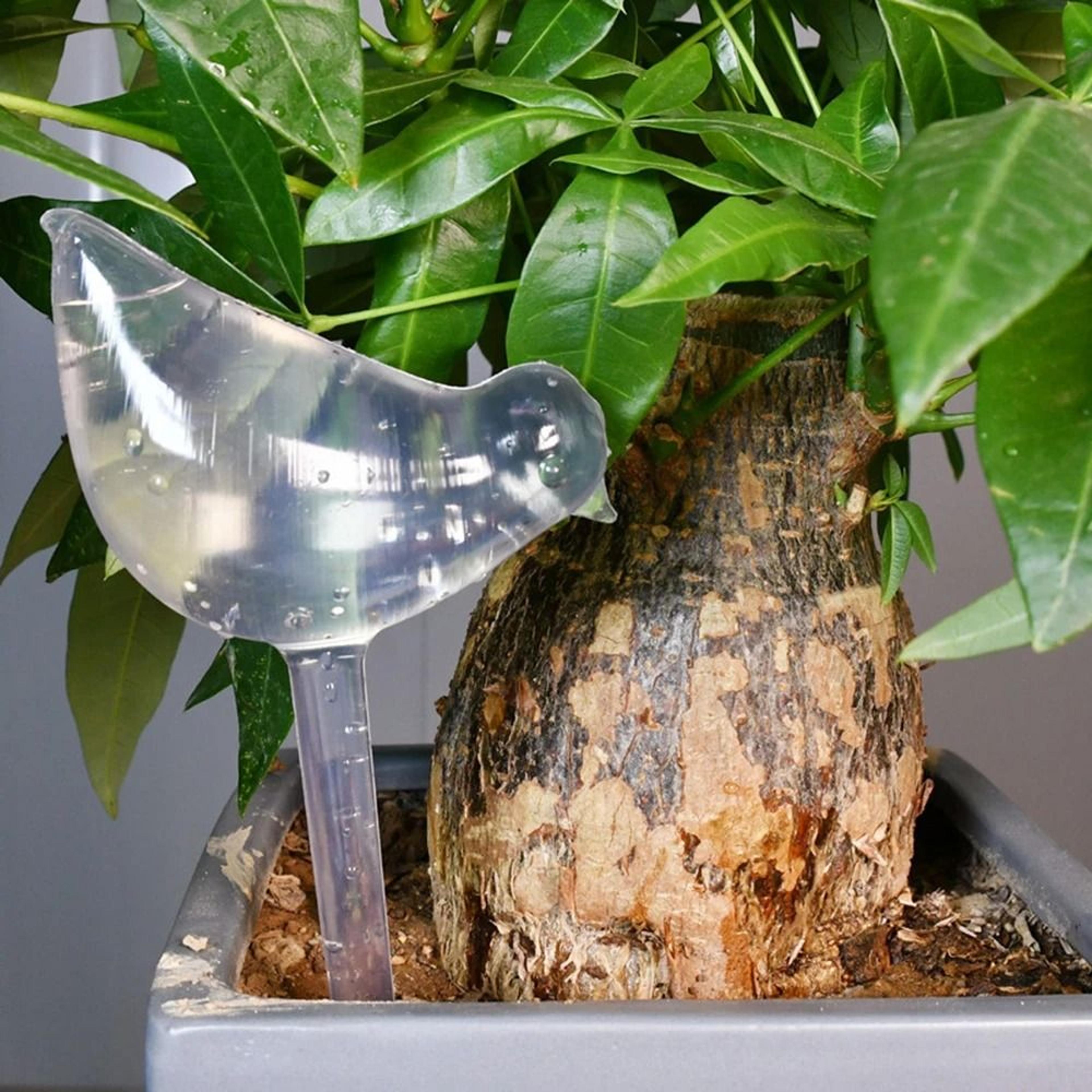 bird shaped self watering globe automatic plant drip watering tool