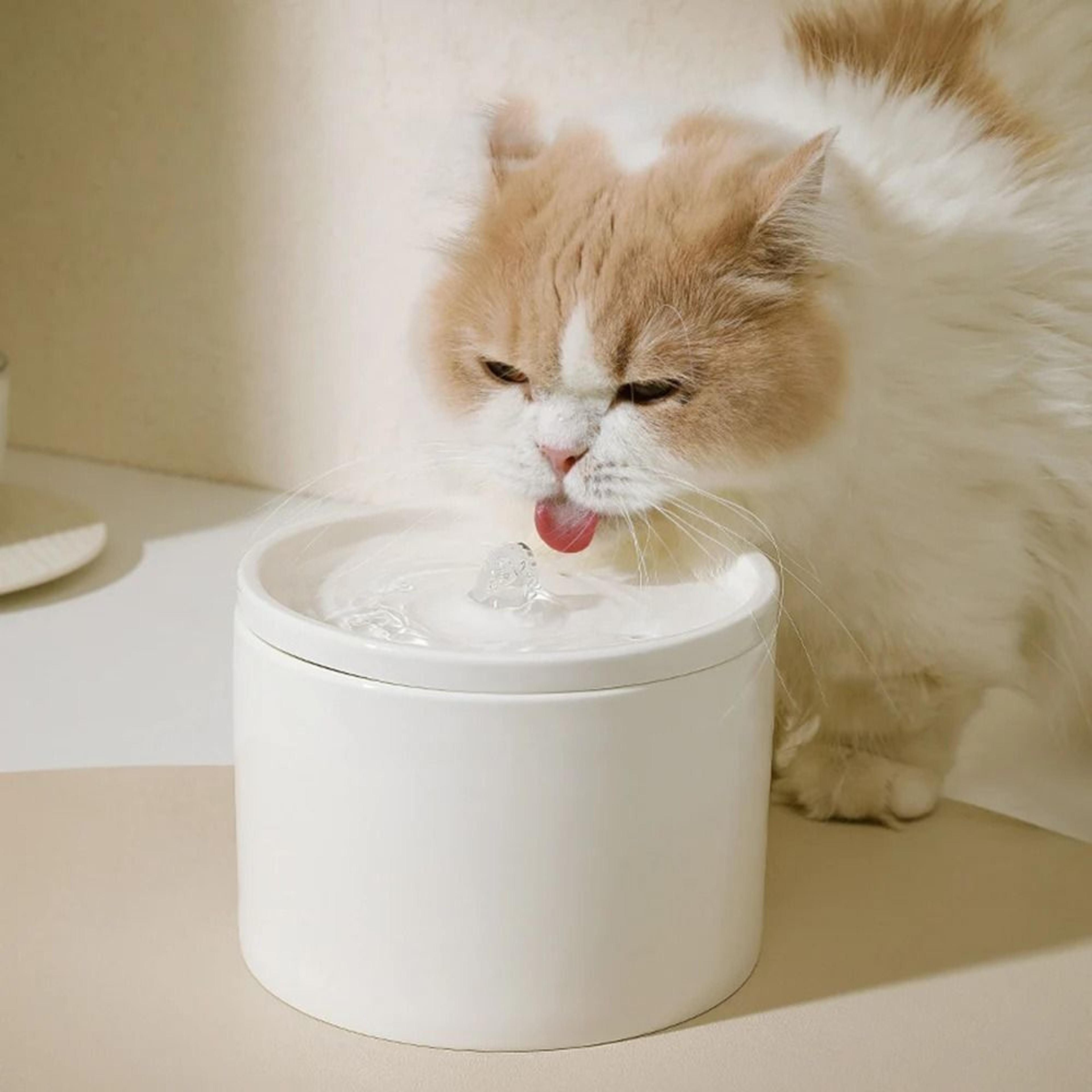 automatic cat water fountain ceramic bowl circulating pet water dispenser for cats and small dogs