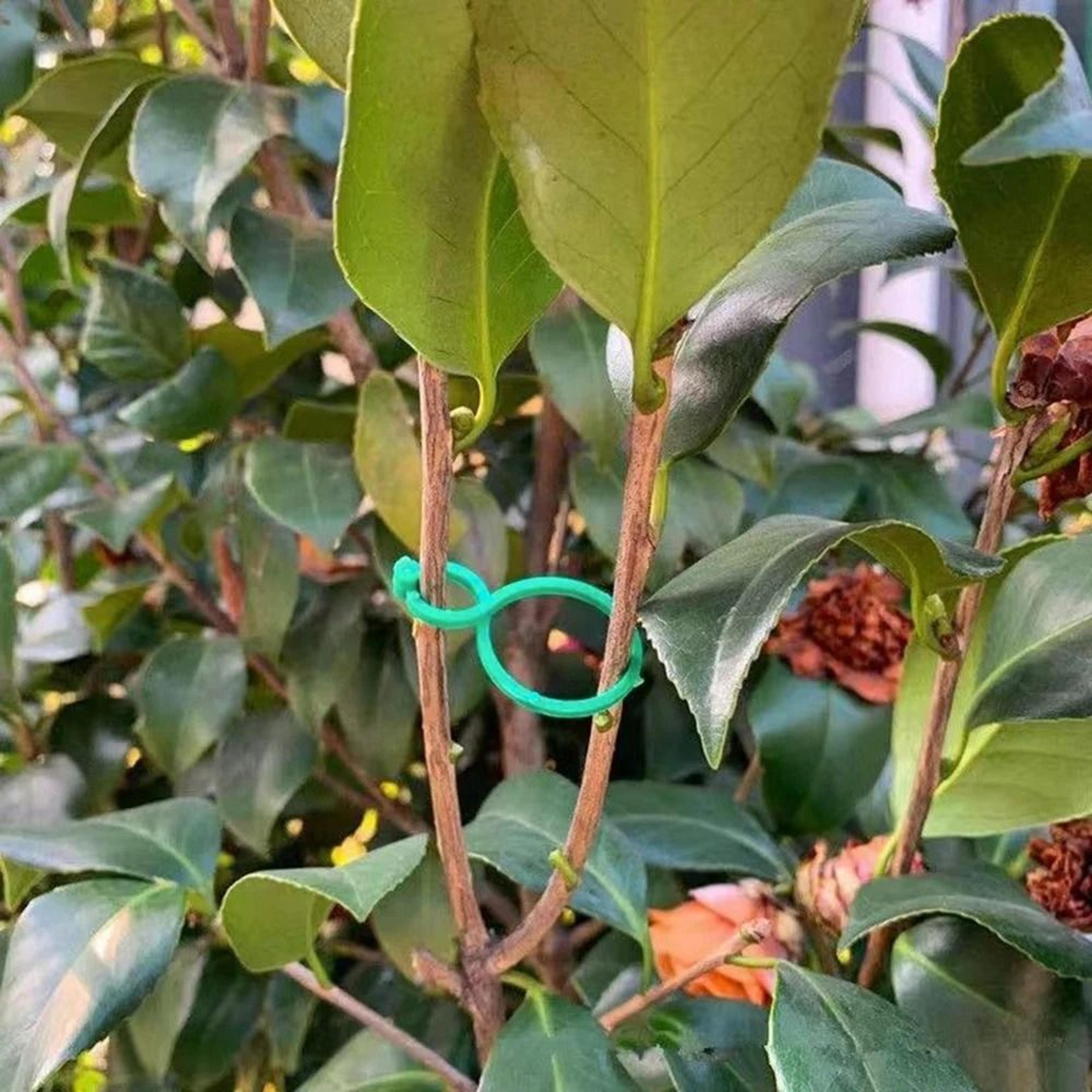 figure eight plant clips plastic garden vine ties for trellis support and stem fixing 50 or 100 pack