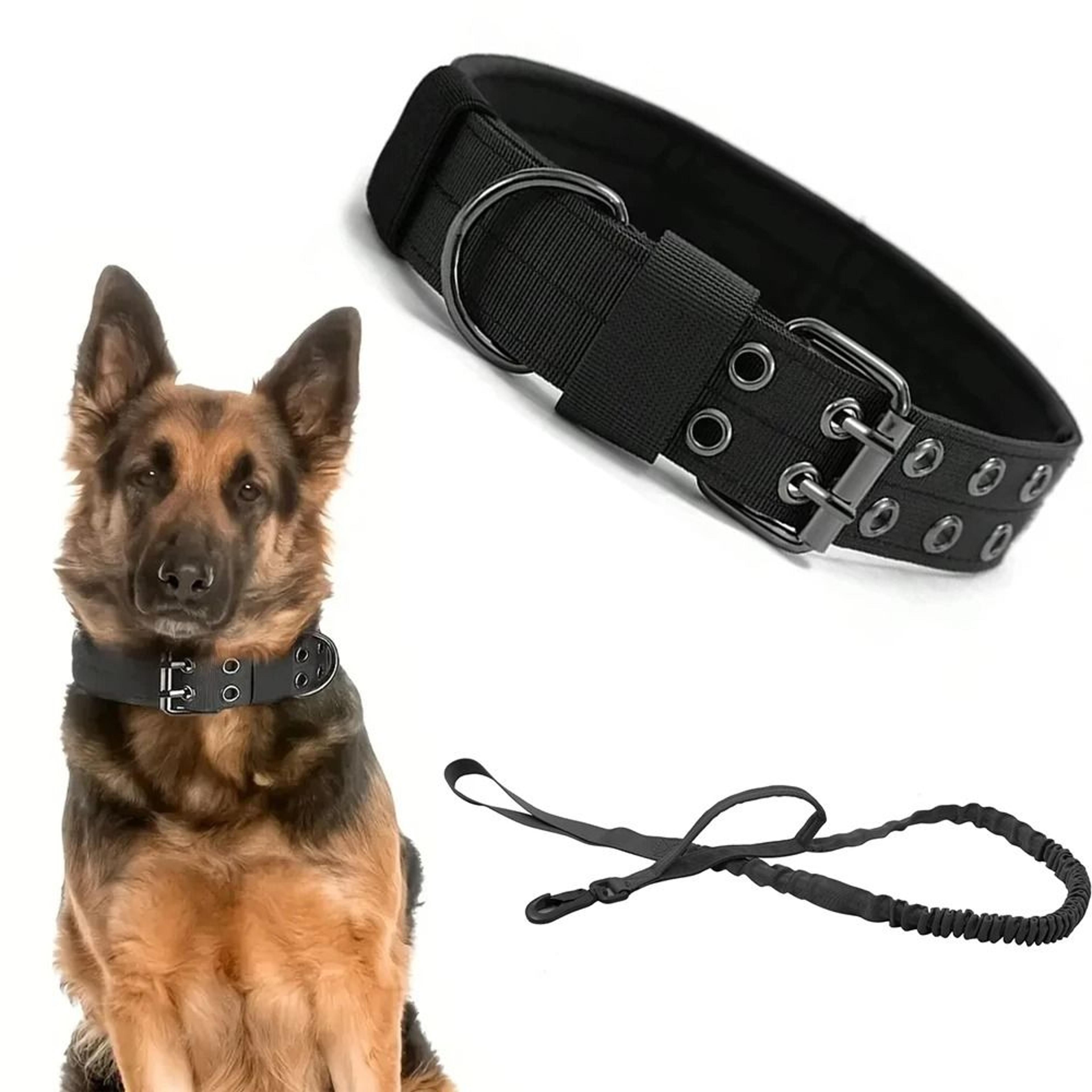 professional heavy duty tactical dog collar and training leash set
