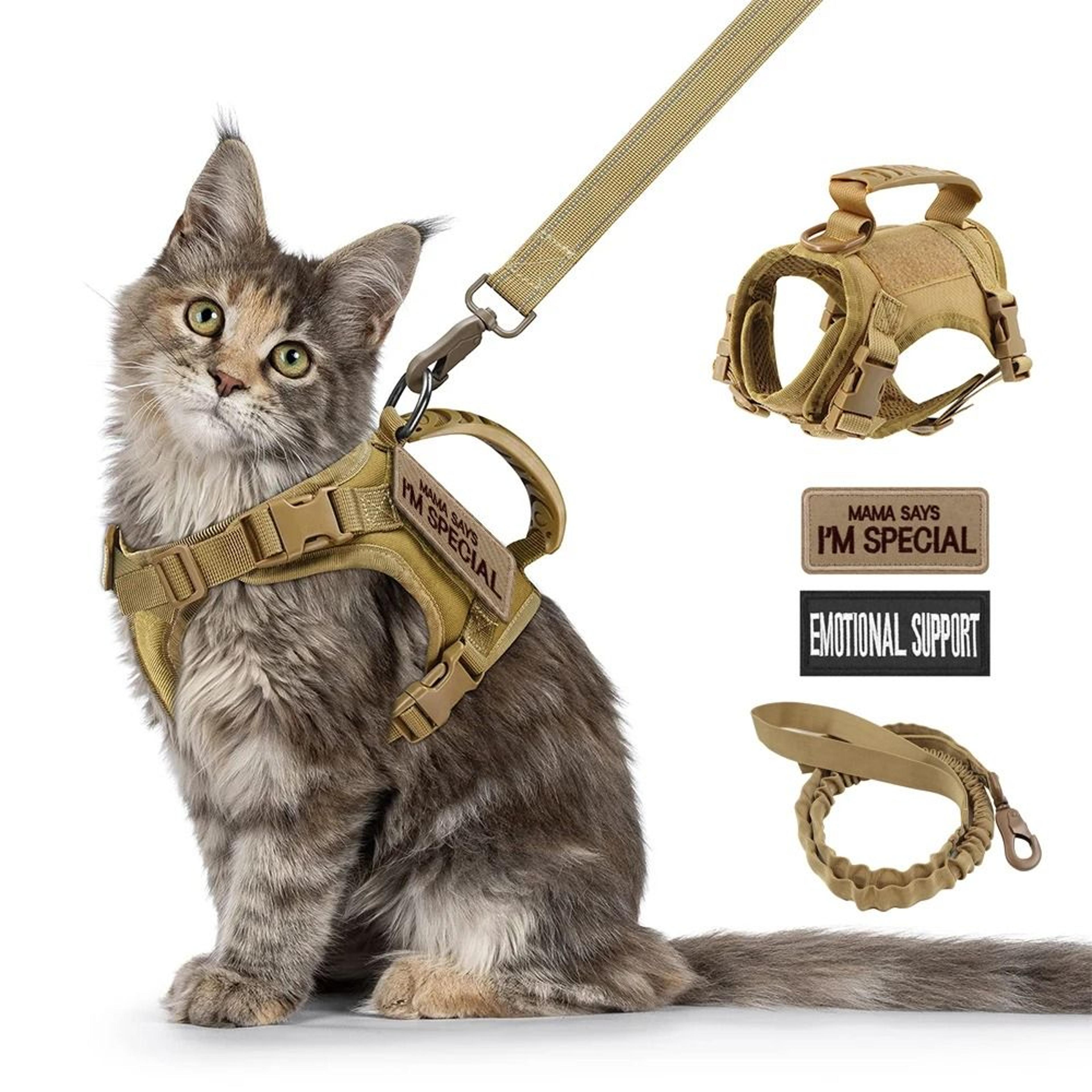 professional tactical adventure cat harness and leash set