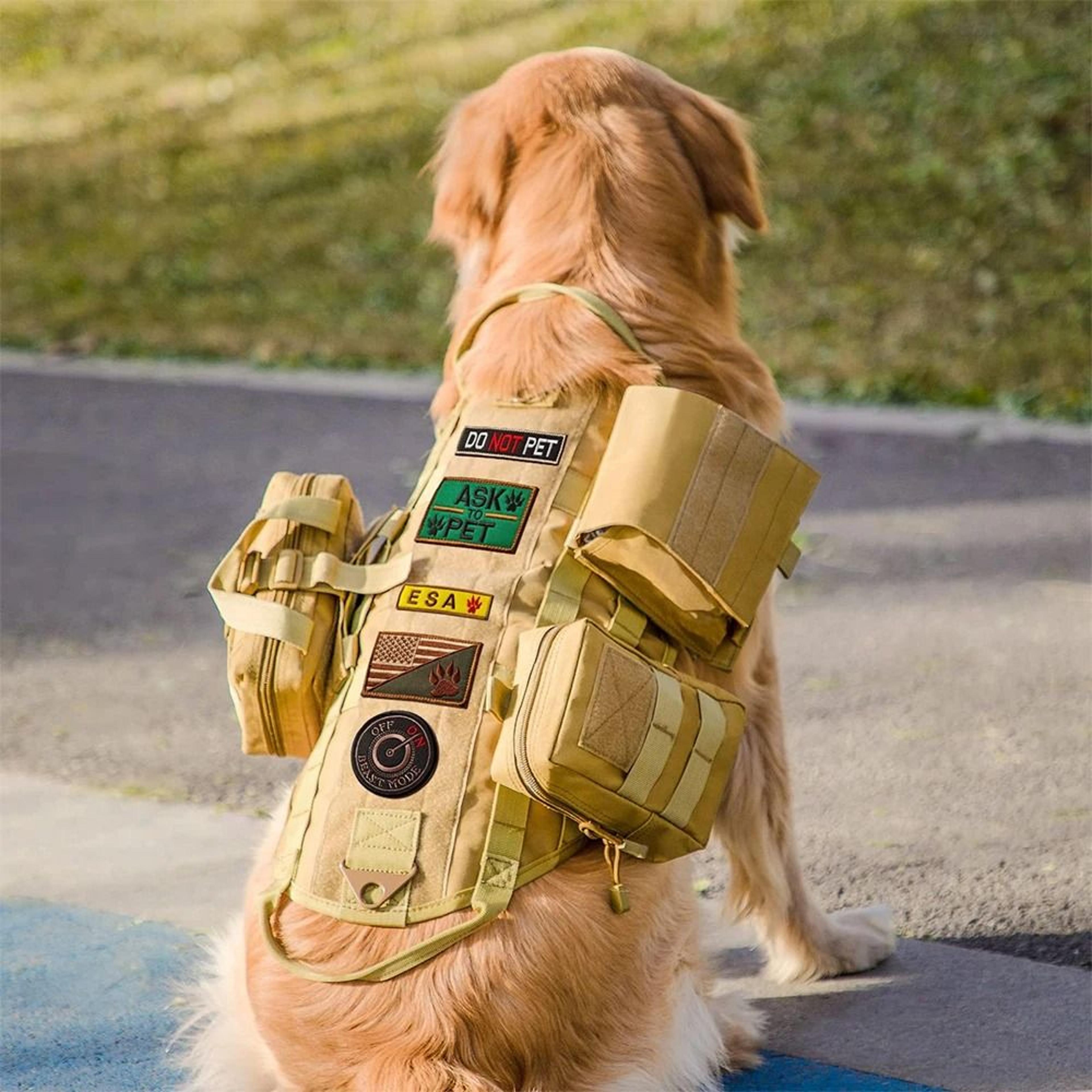 professional tactical adventure dog harness with utility pouches