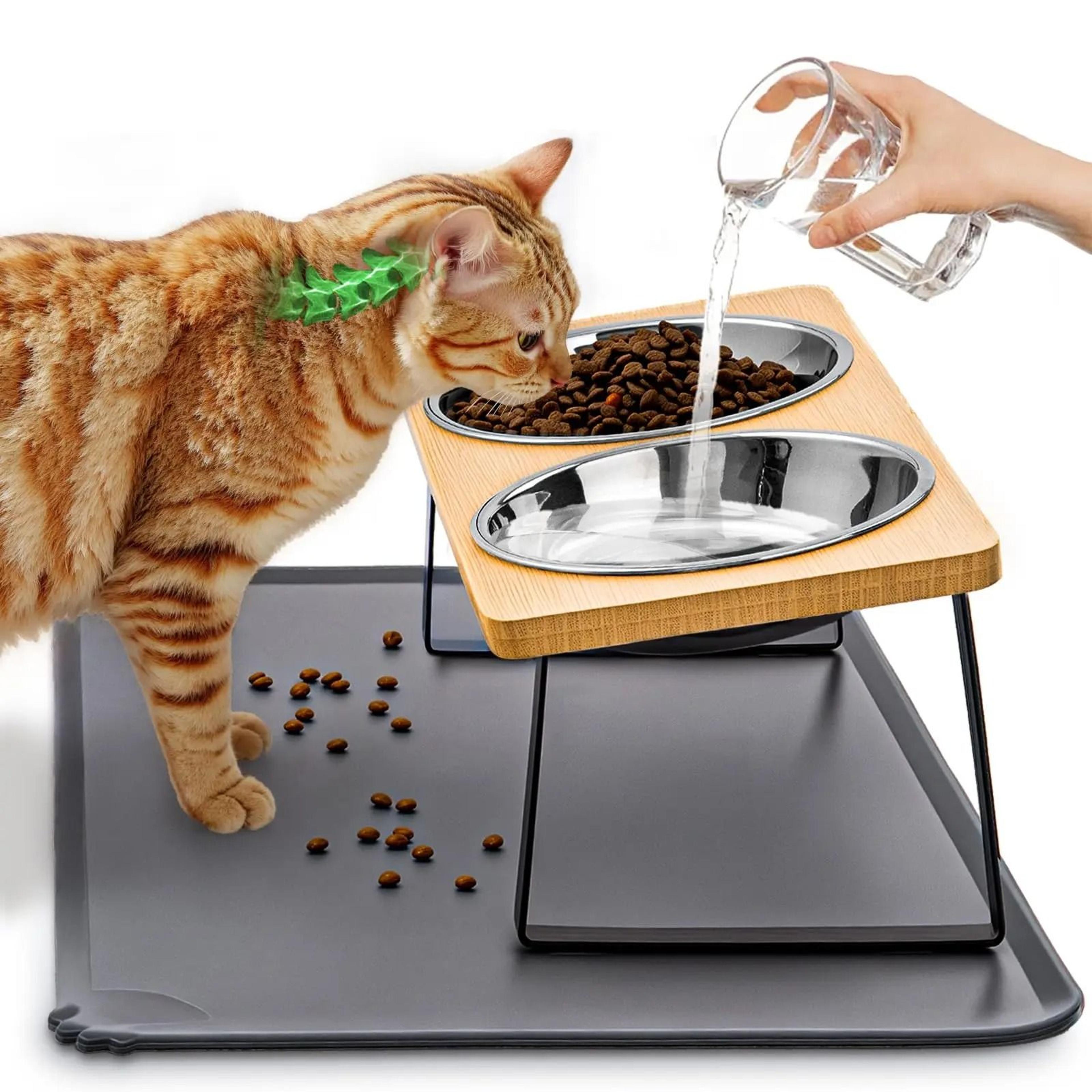 professional elevated tilted pet feeder with spill proof mat