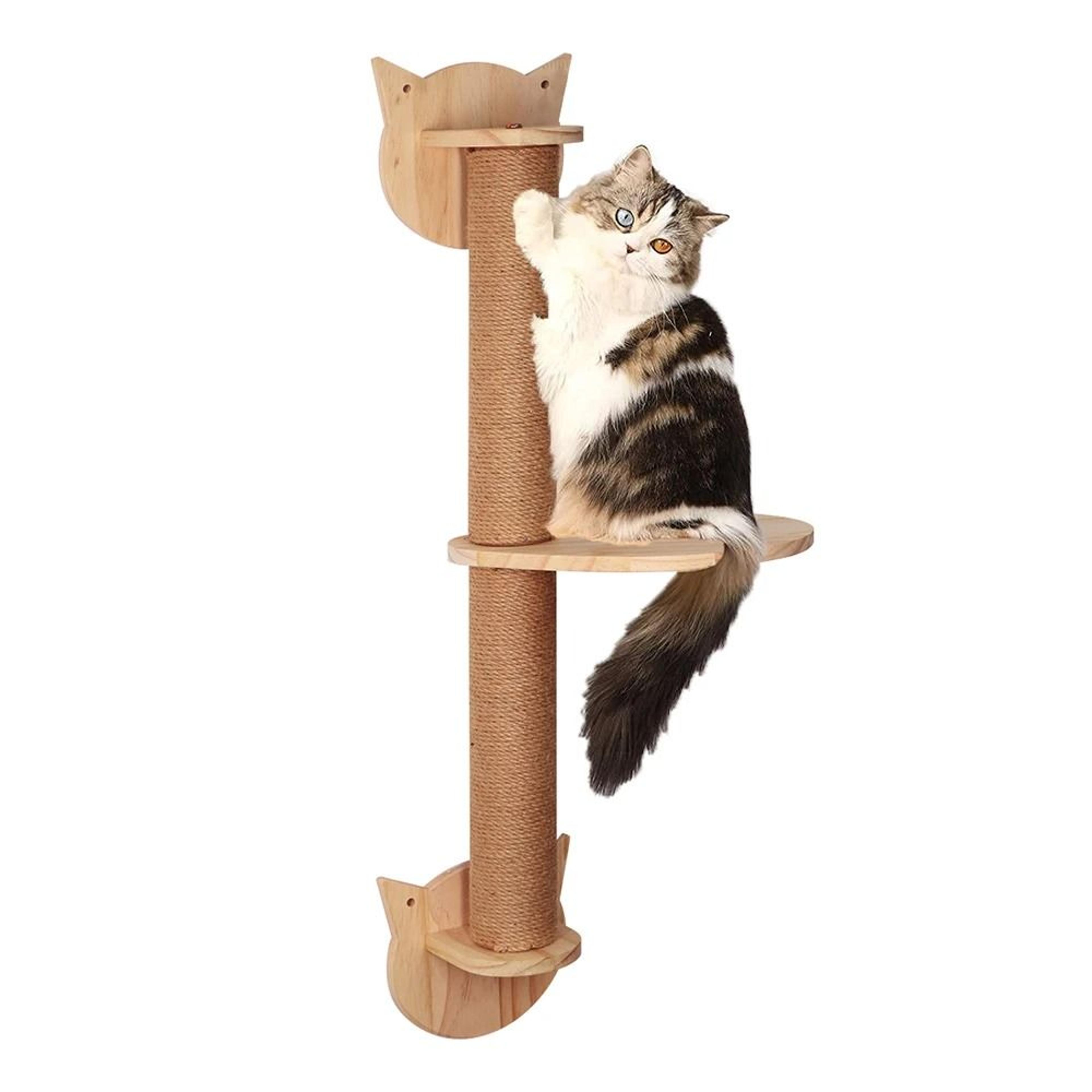 professional wall mounted pine cat climbing tree and hammock