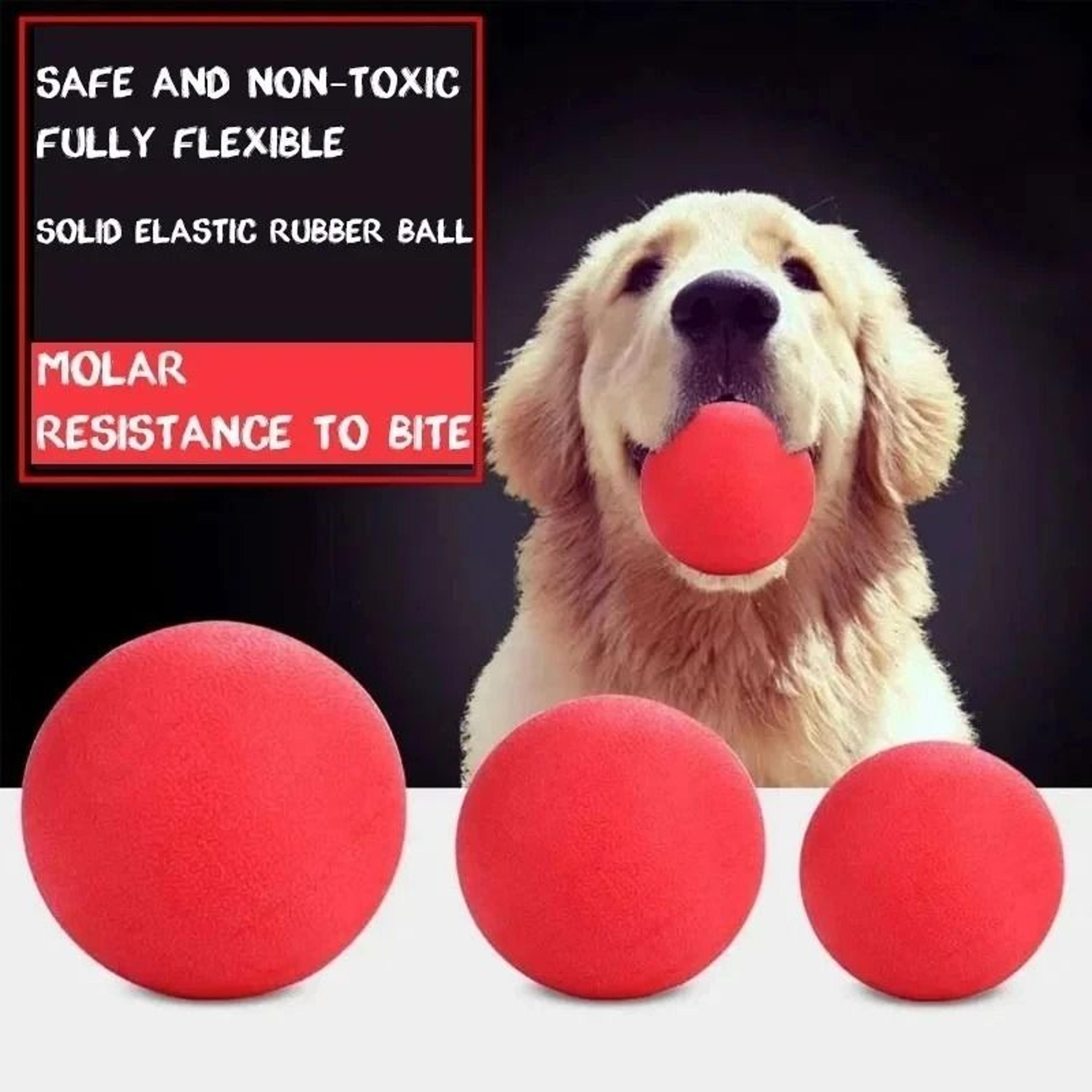 professional heavy duty indestructible solid rubber dog ball