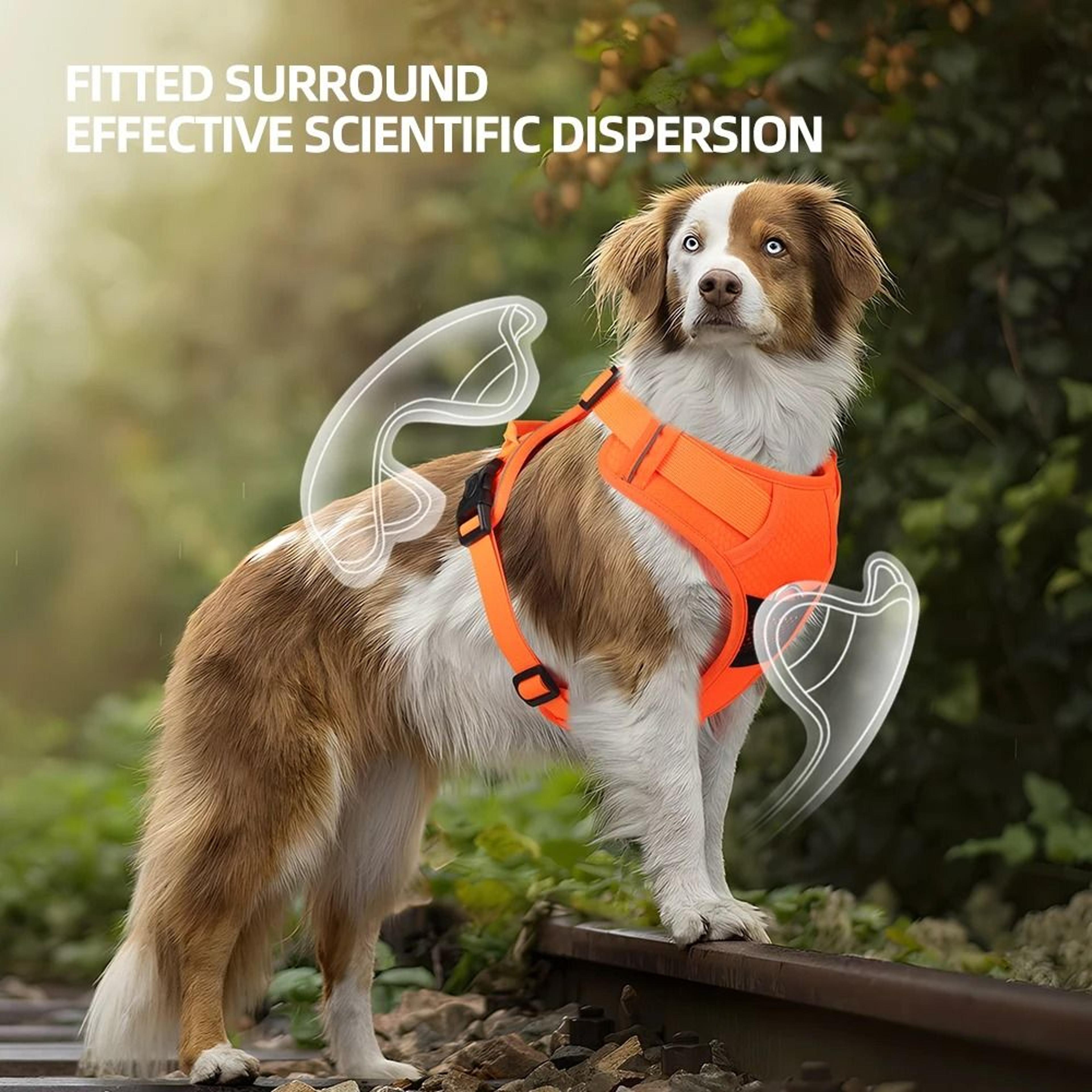 professional no-pull reflective nylon safety dog harness