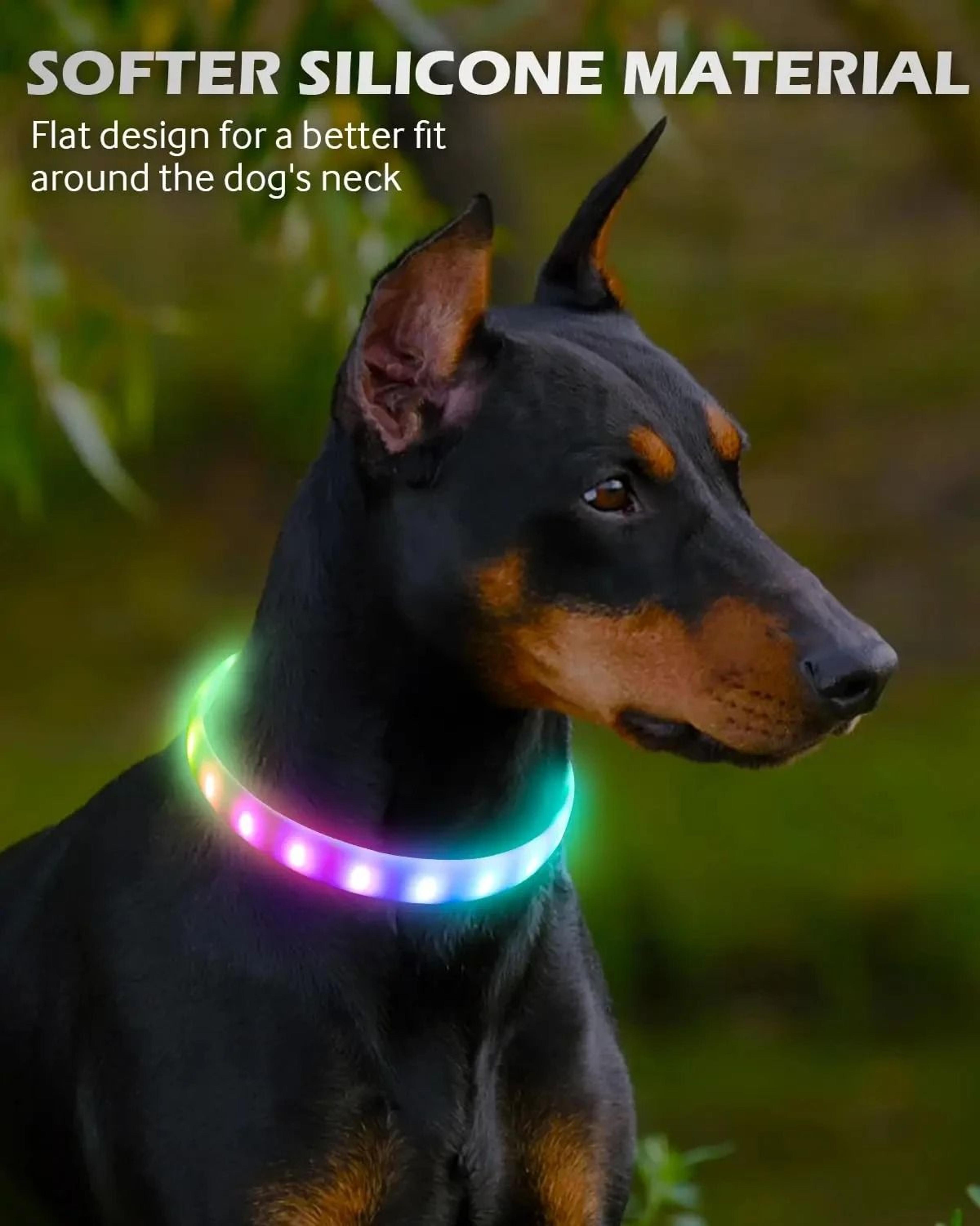professional rgb discolor glowing pet safety collar
