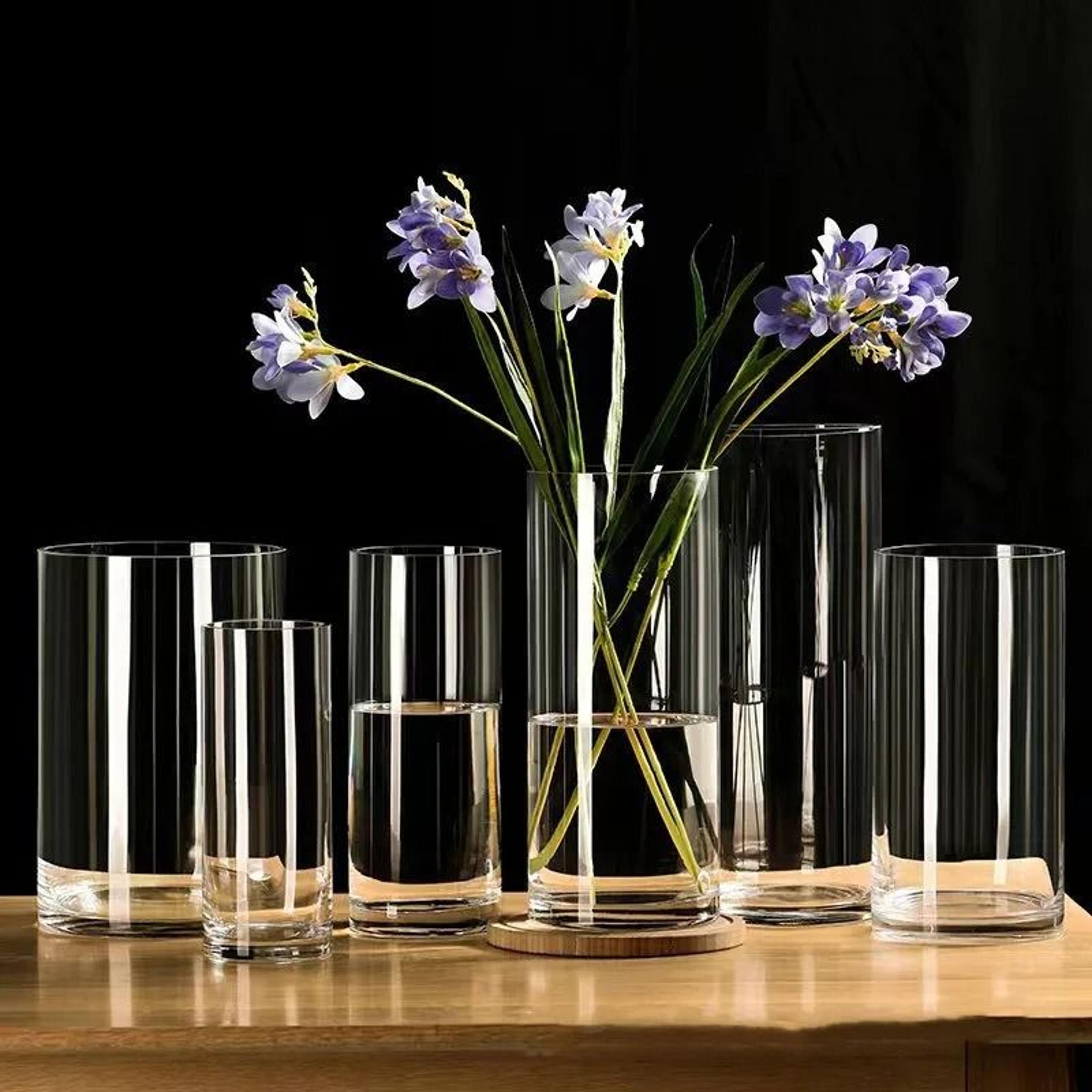 desktop glass planter and transparent cylinder vase