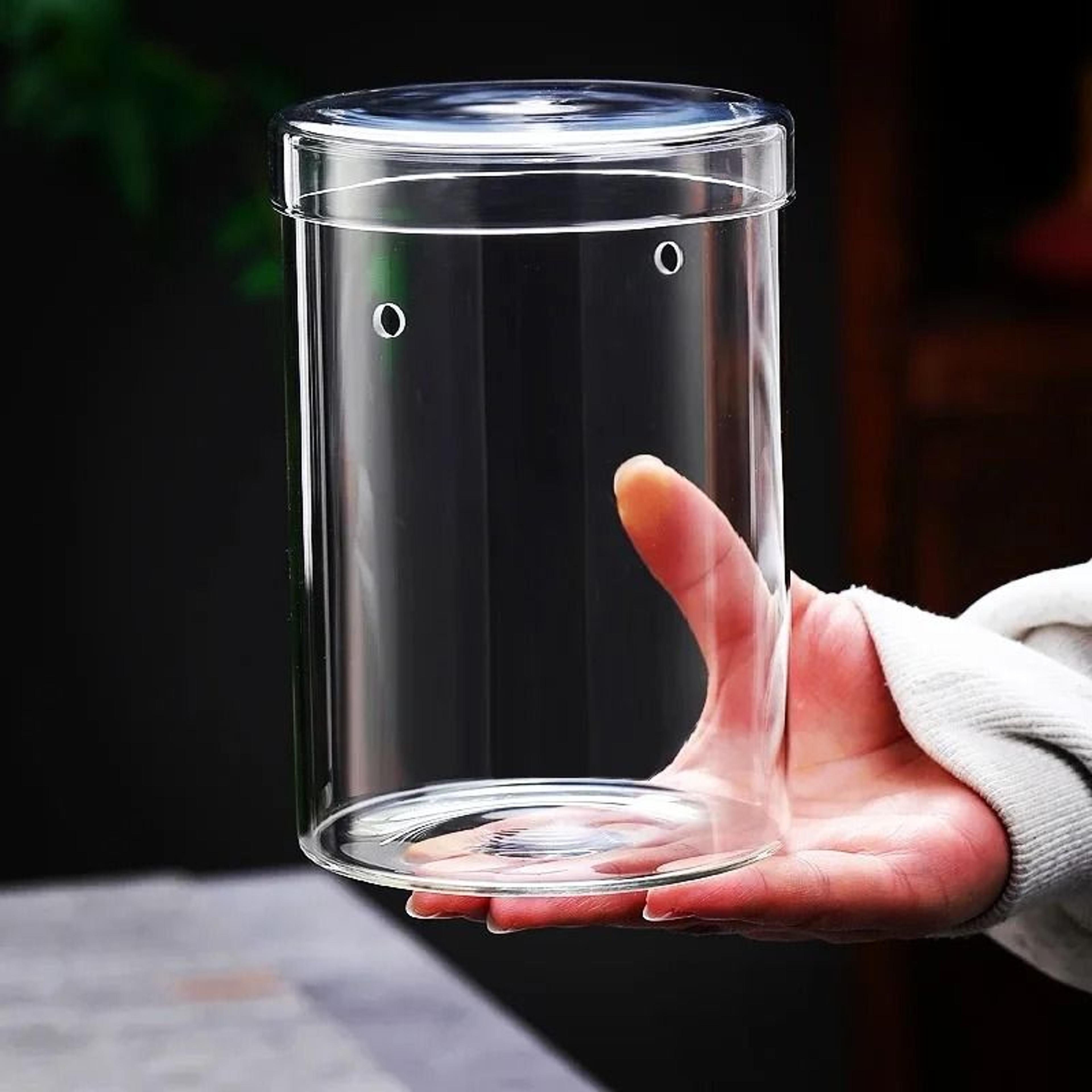 micro landscape moss cylinder glass bottle with lid