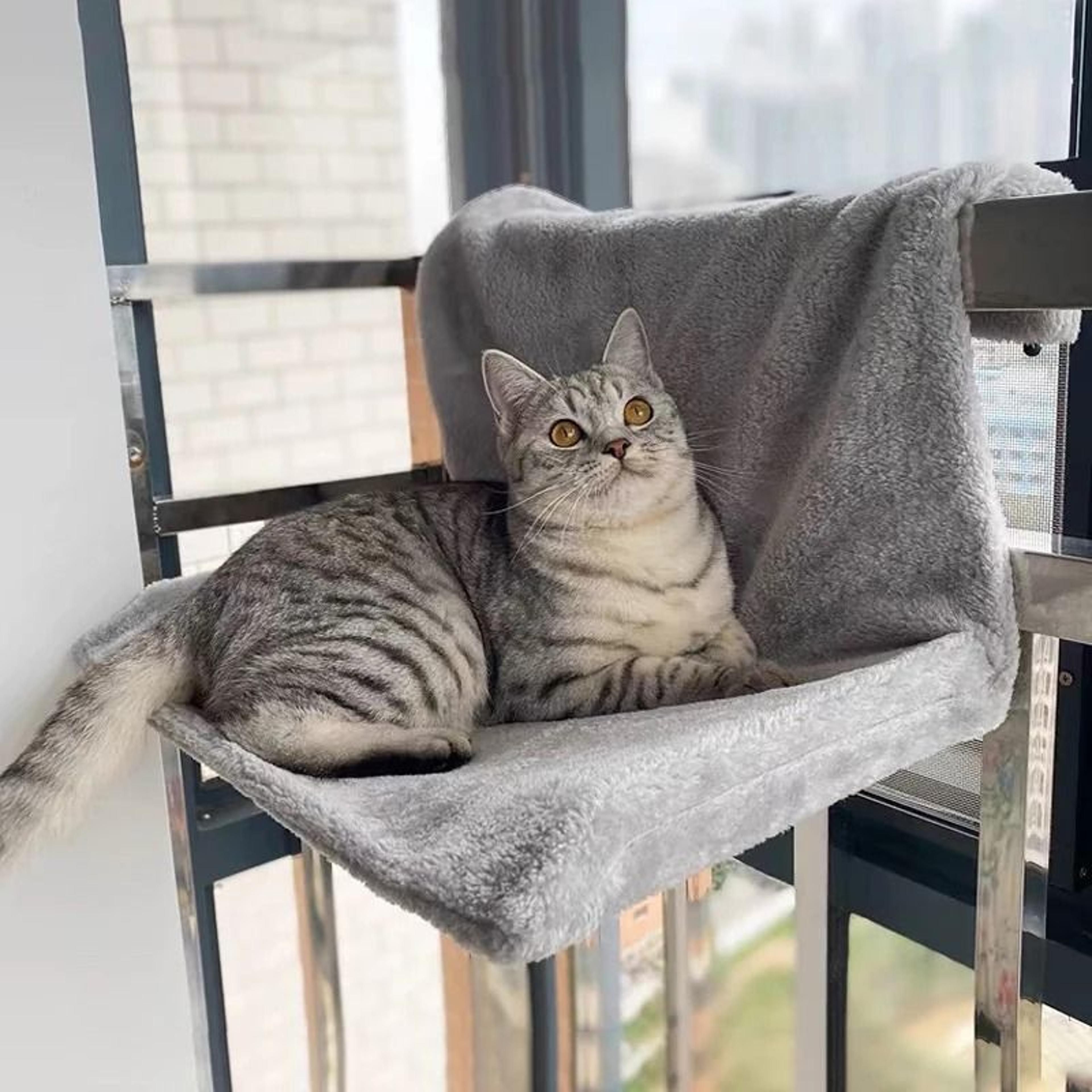 luxury hanging cat hammock and radiator bed