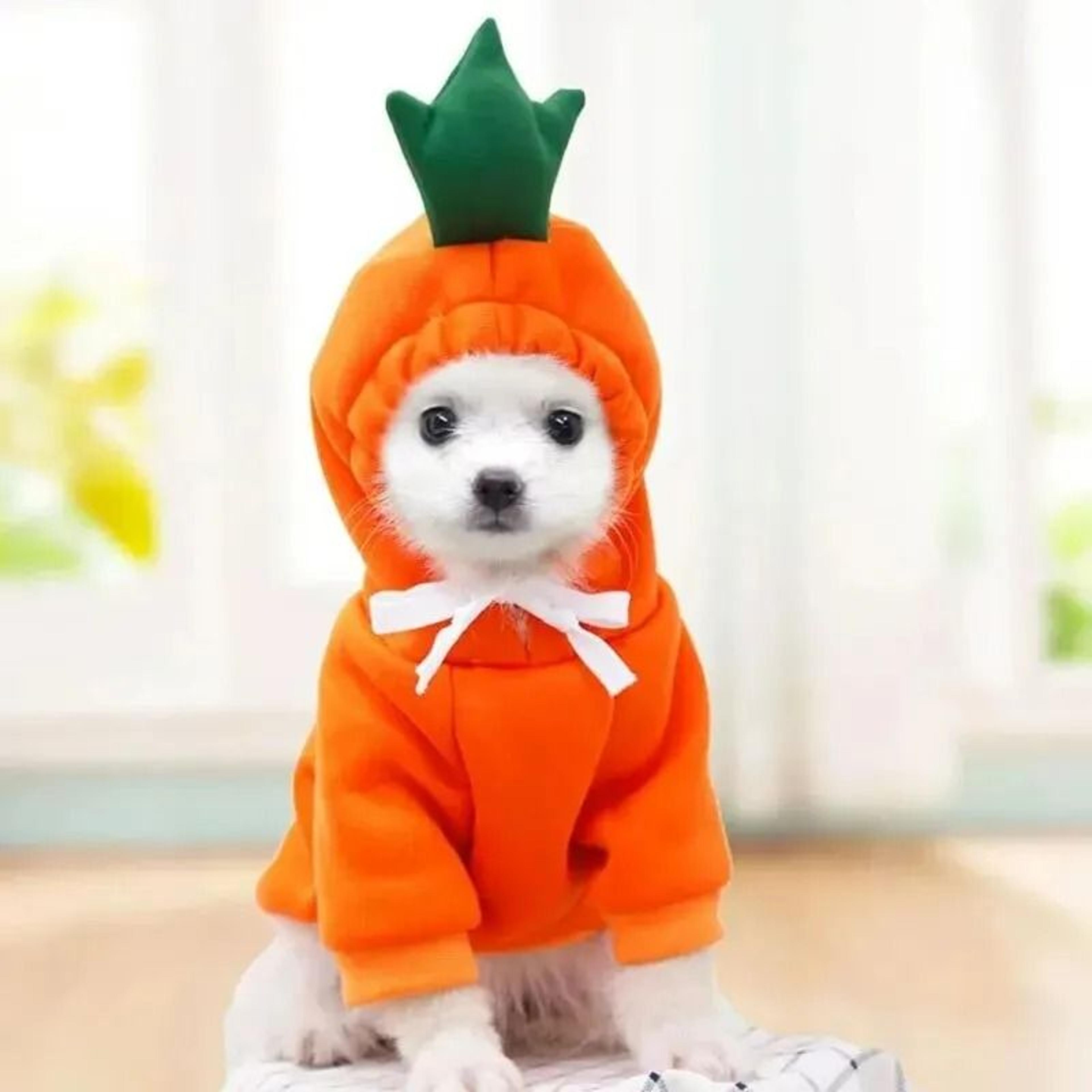 cute carrot dog hoodie – warm fleece puppy sweater coat