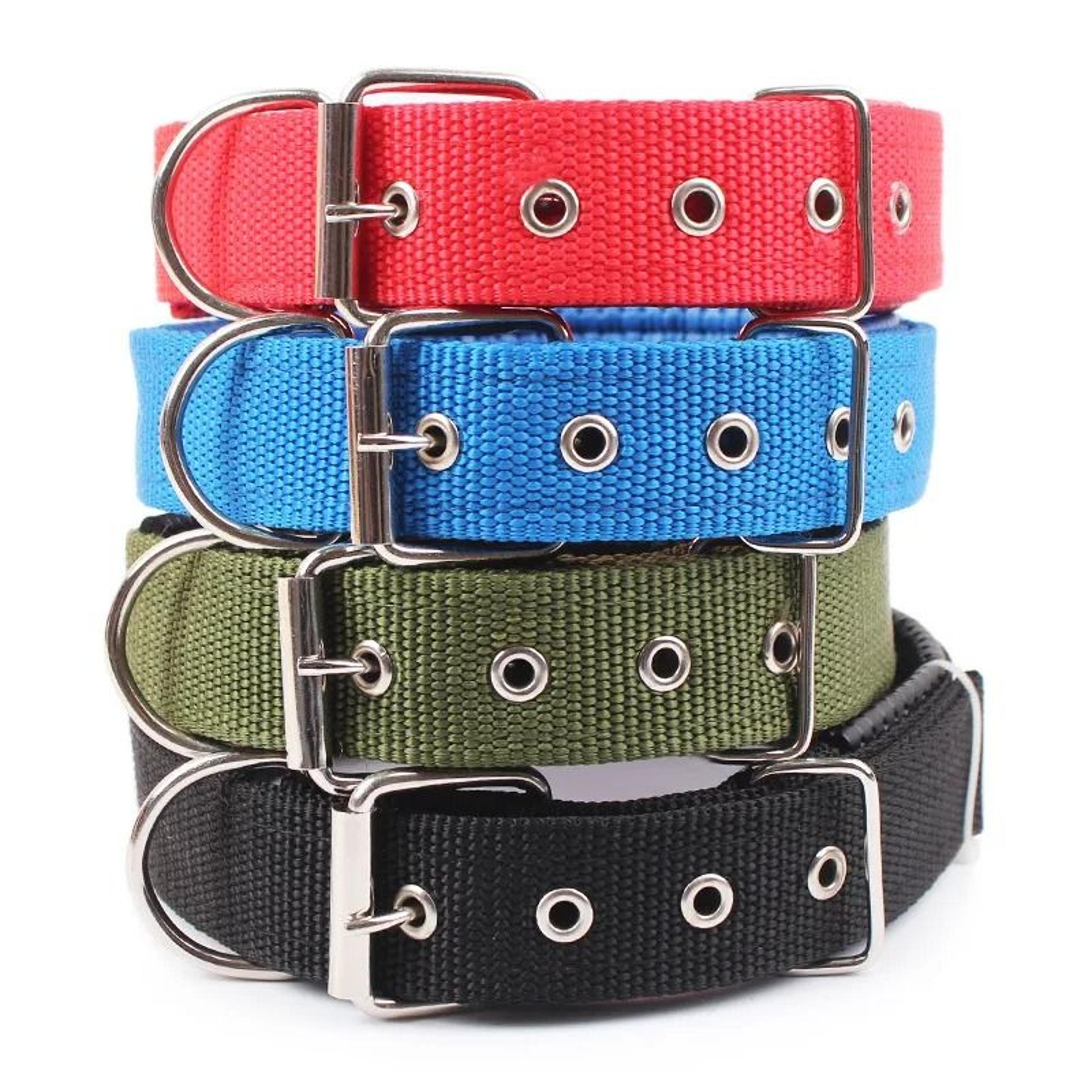 solid nylon dog collar