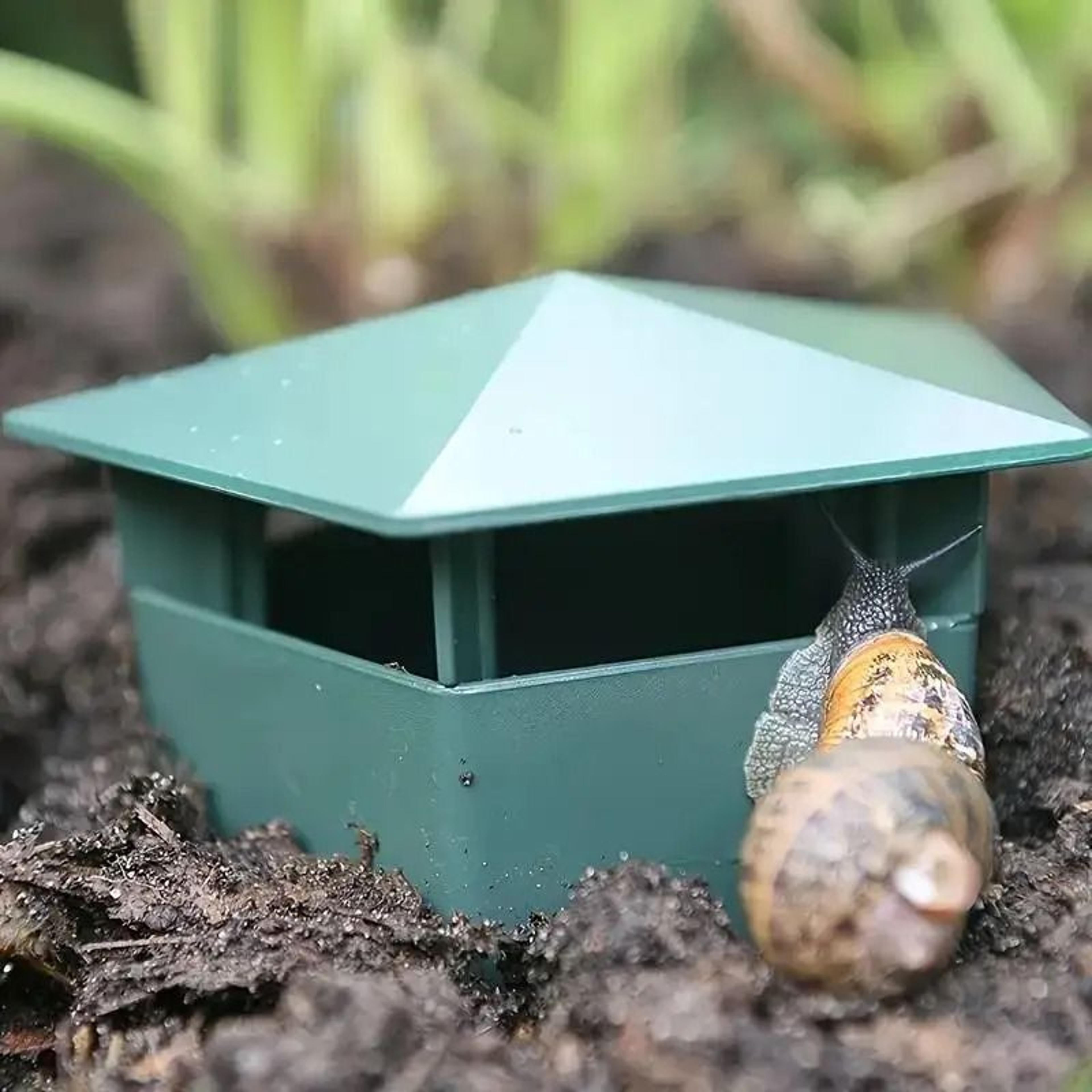 durable snail & slug trap - safe plastic cage for vegetables and flowers