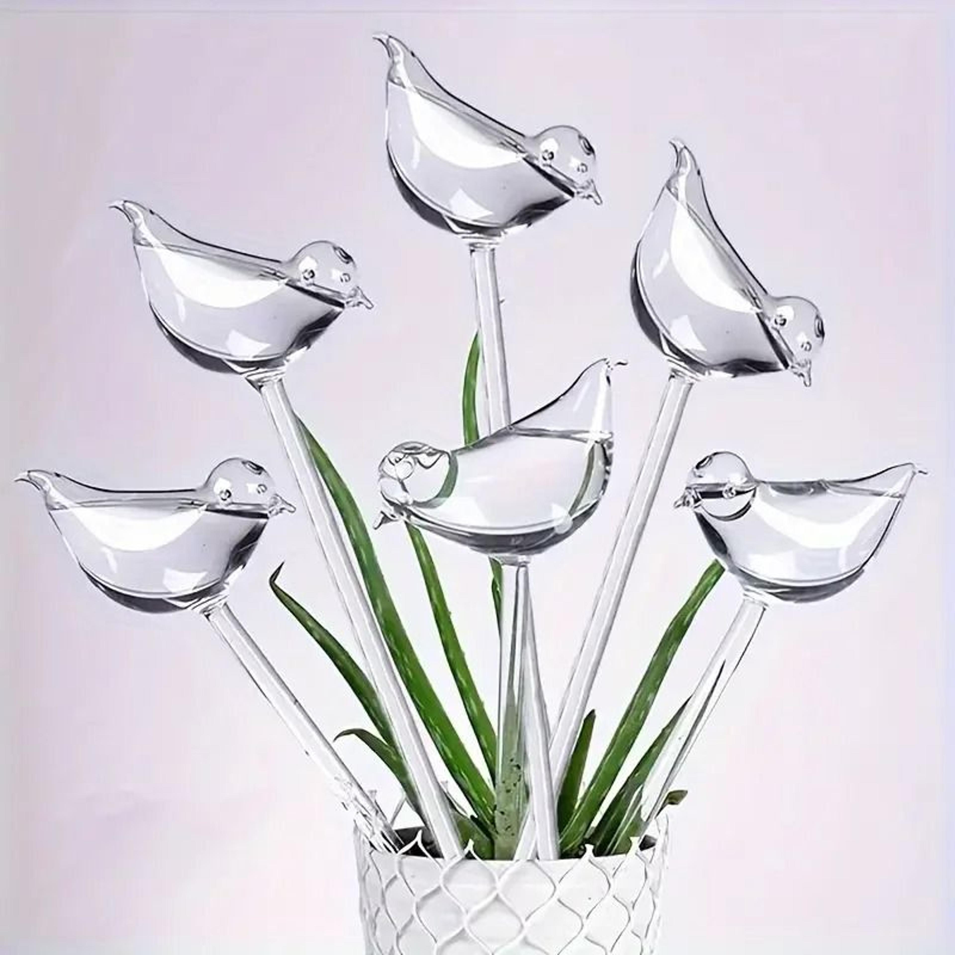 self-watering bird globes – automatic plant hydration for indoor & outdoor greenery