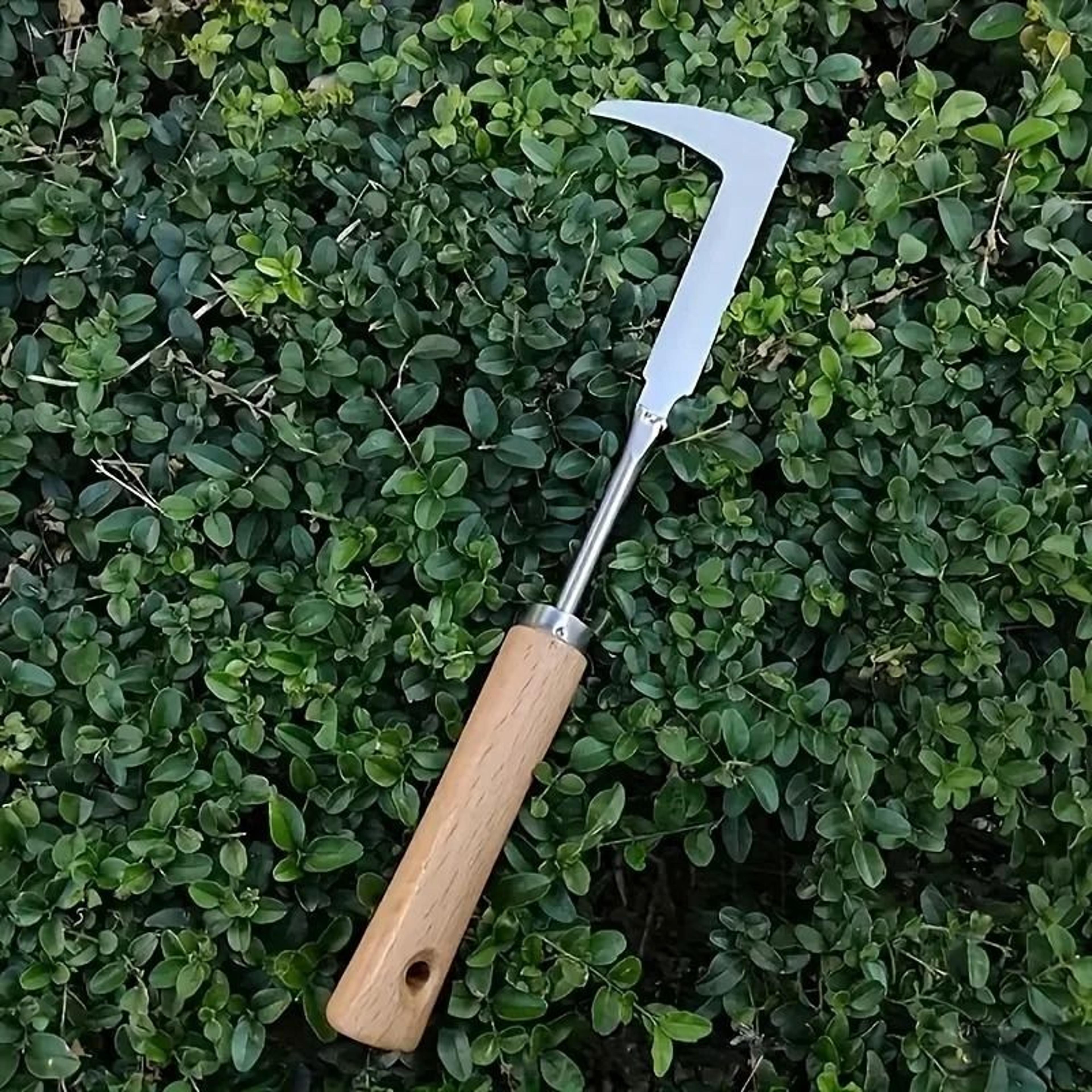 stainless steel multi-purpose weeding tool – precision hand tool for gardening & foraging