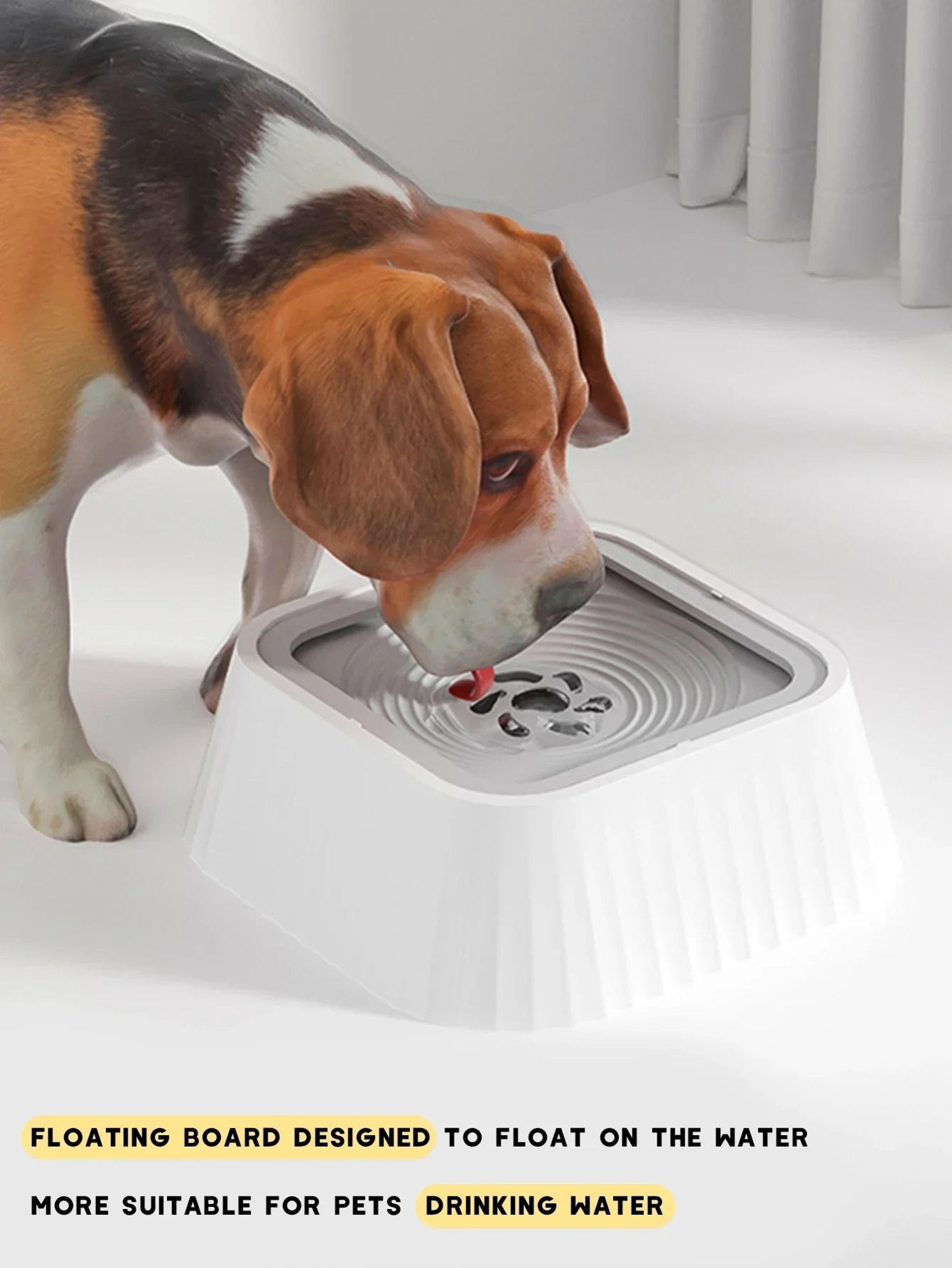 anti-splash floating pet water fountain