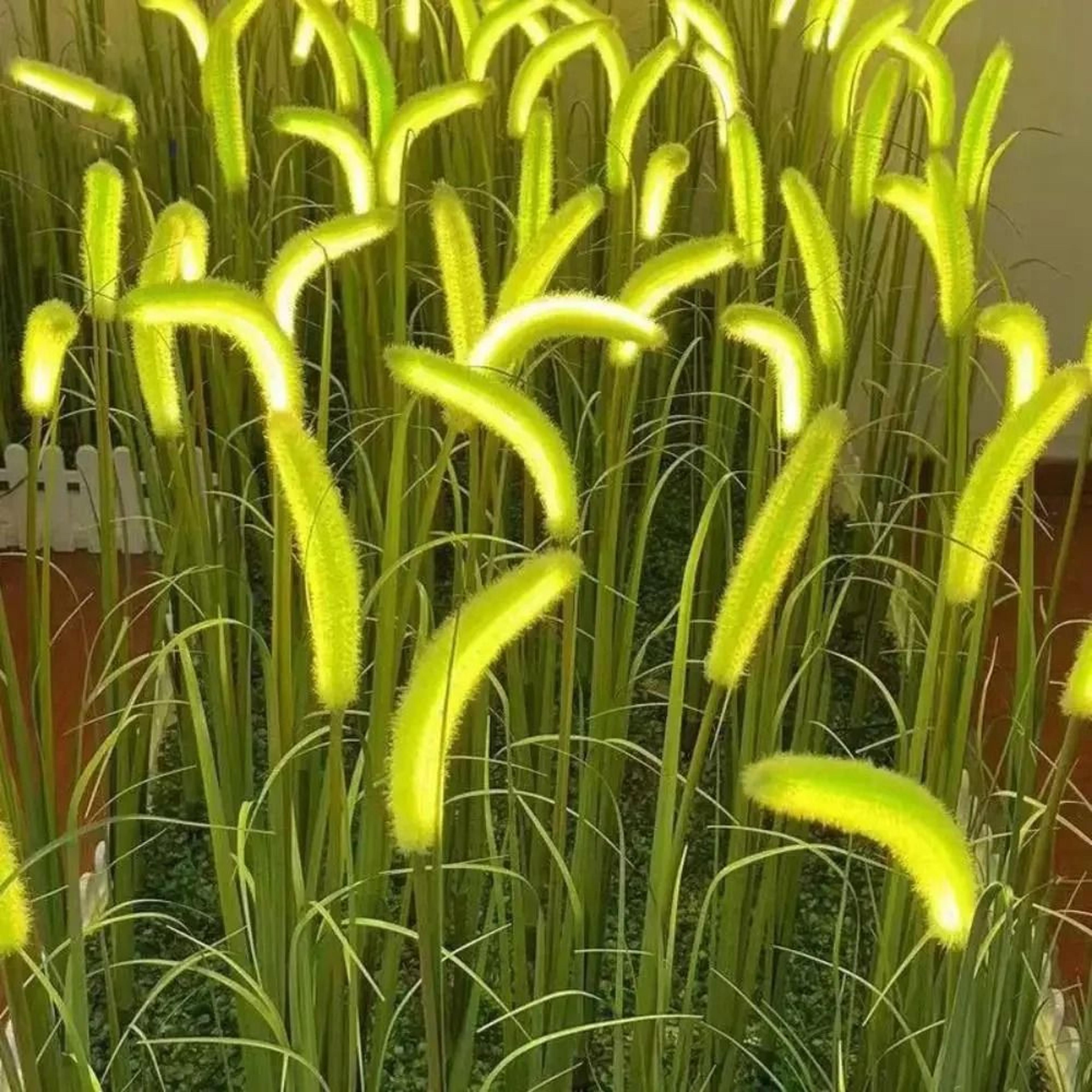 solar dog tail grass garden lights