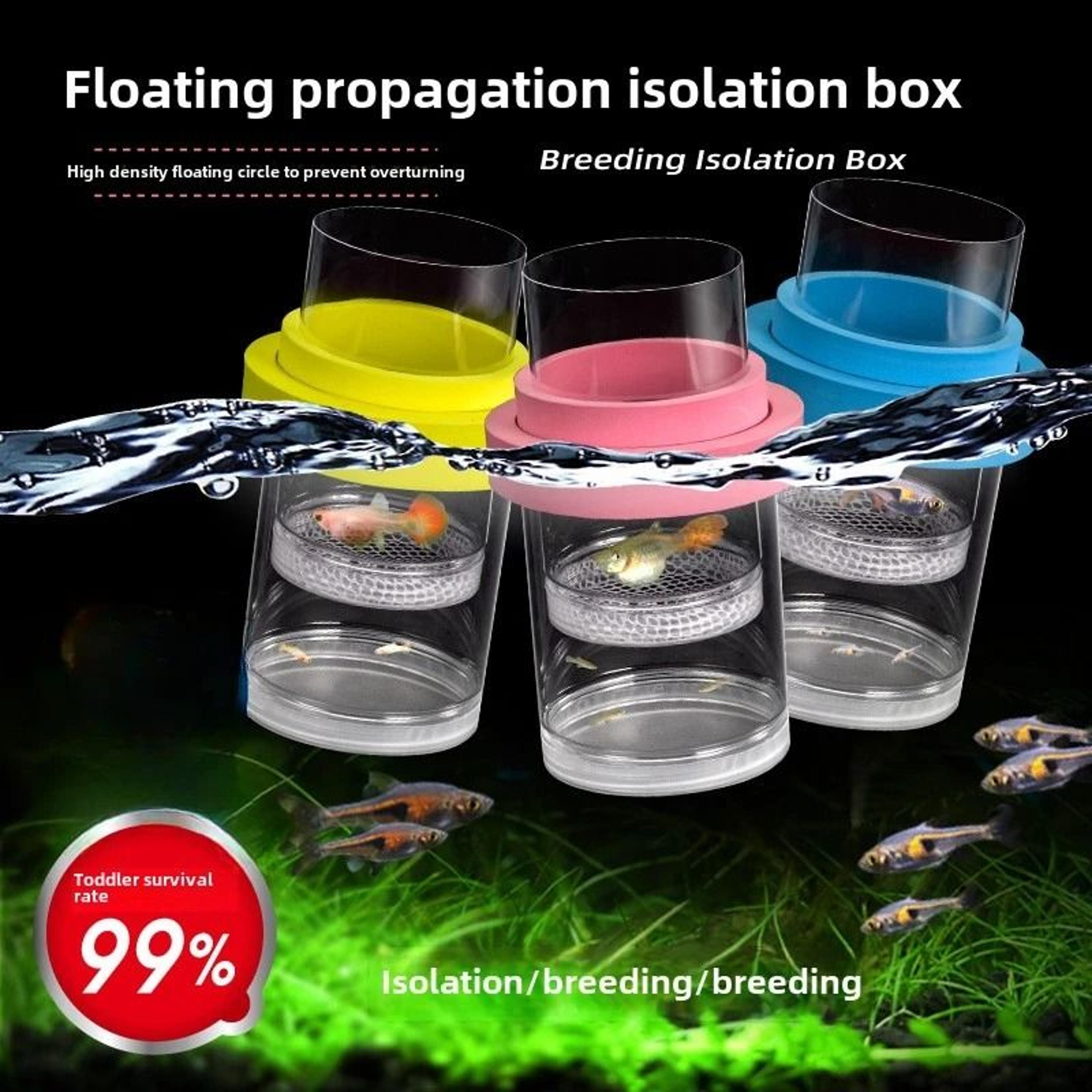 dual-chamber aquarium breeding box and fry isolation hatchery