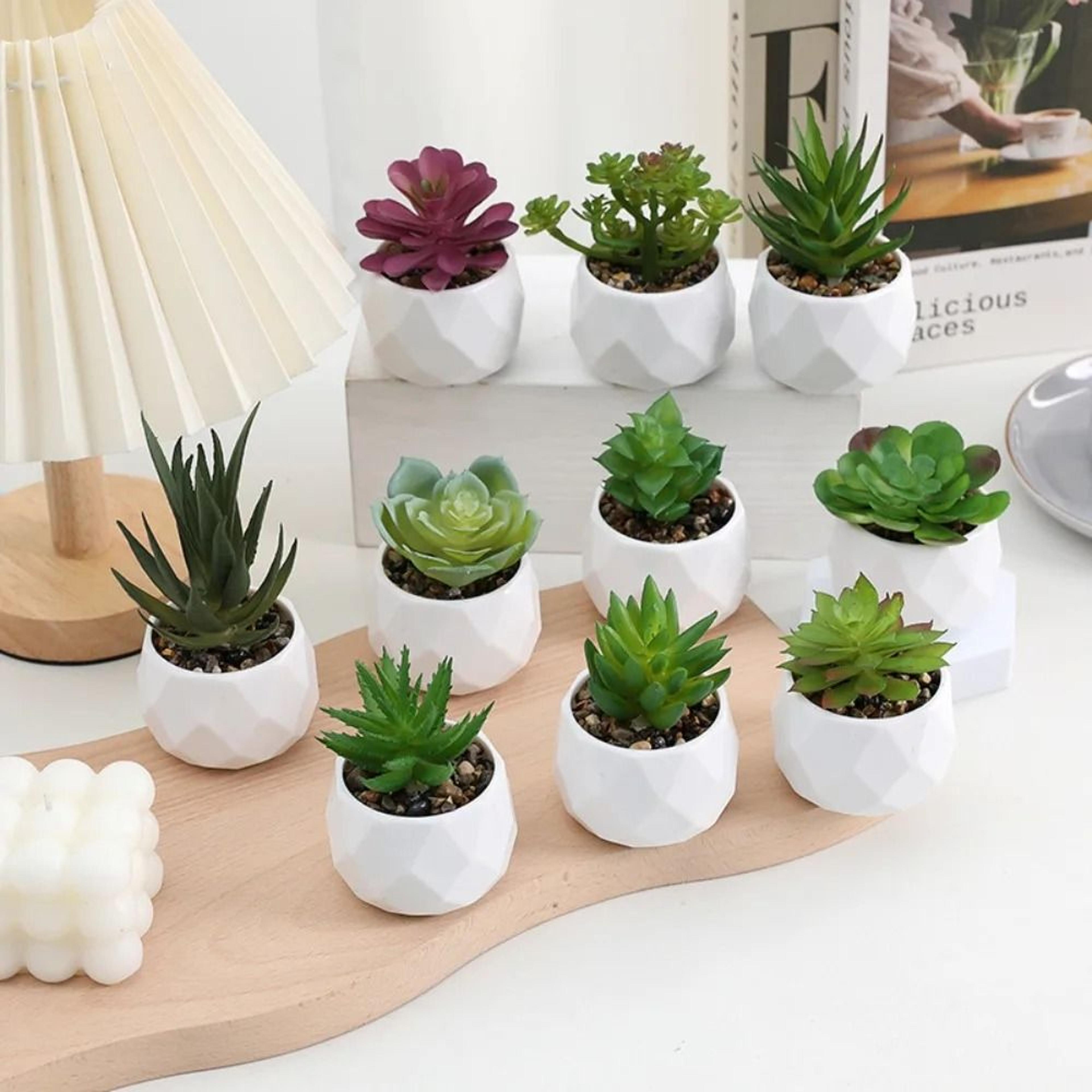artificial succulent bonsai | mini simulation evergreen decor