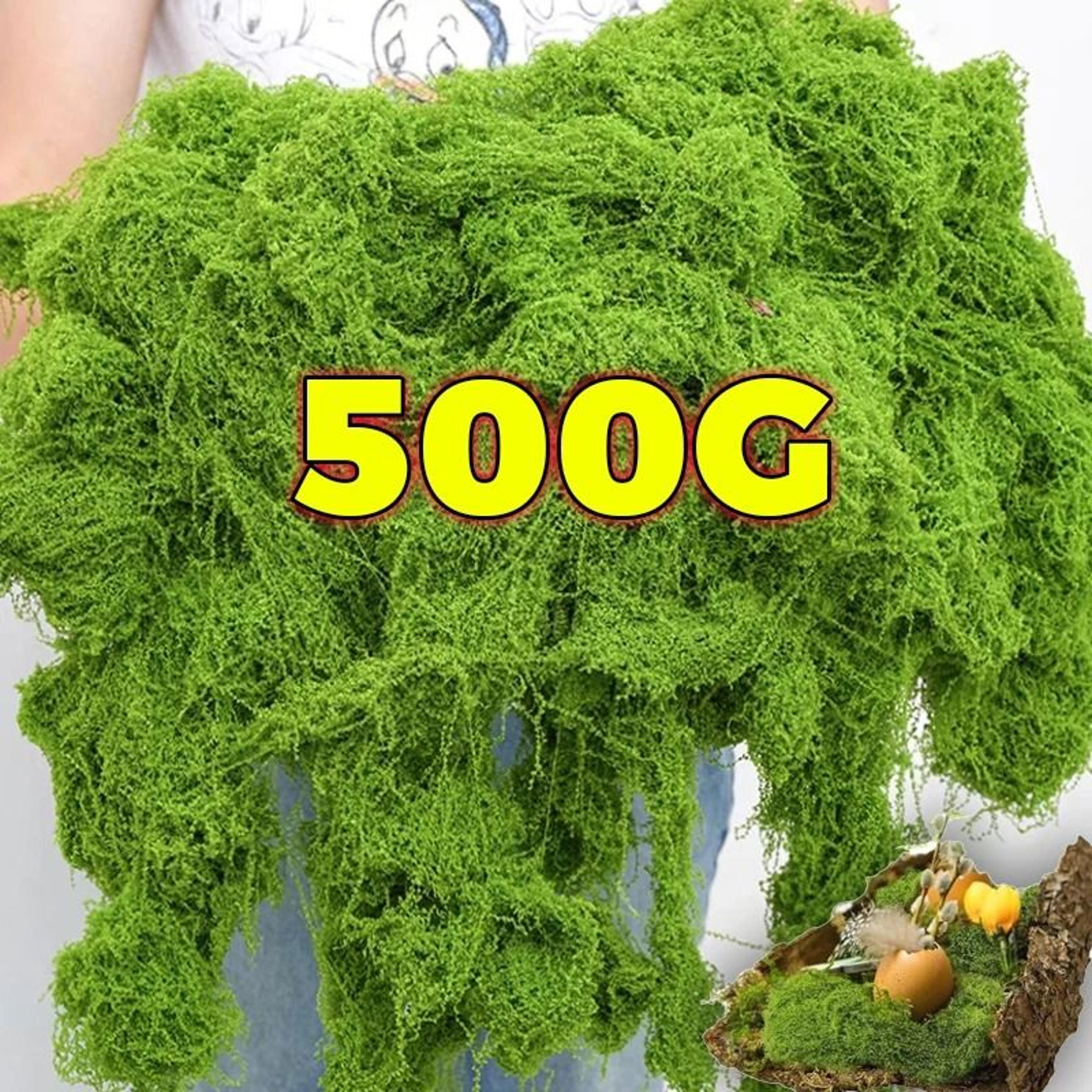 eternal artificial green moss – preserved-effect moss for mini landscapes, diy crafts, & botanical room decor