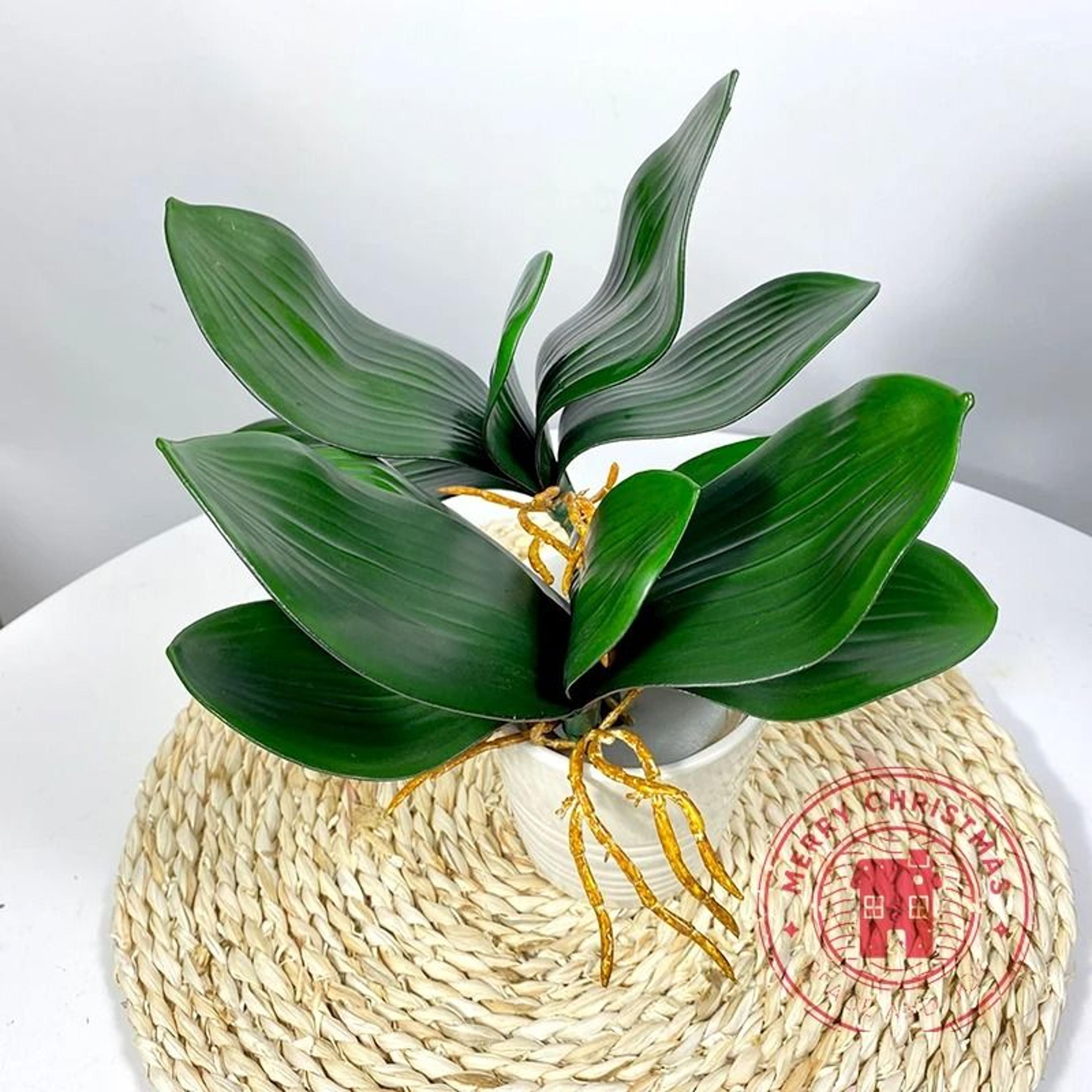 phalaenopsis "real-touch" leaves – high-fidelity orchid foliage for luxury floral arrangements & living room decor