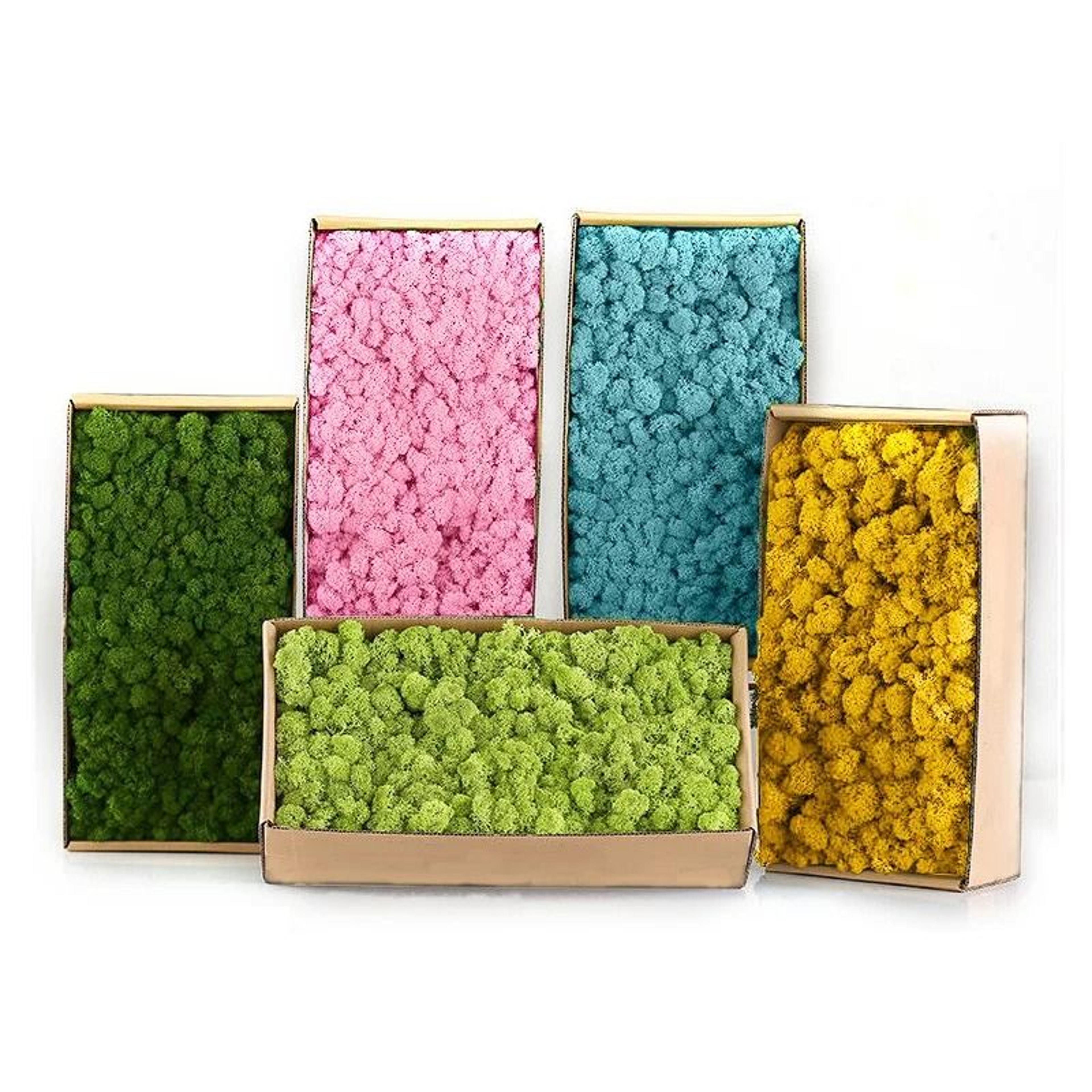 eternal life simulation moss – premium diy landscape greenery