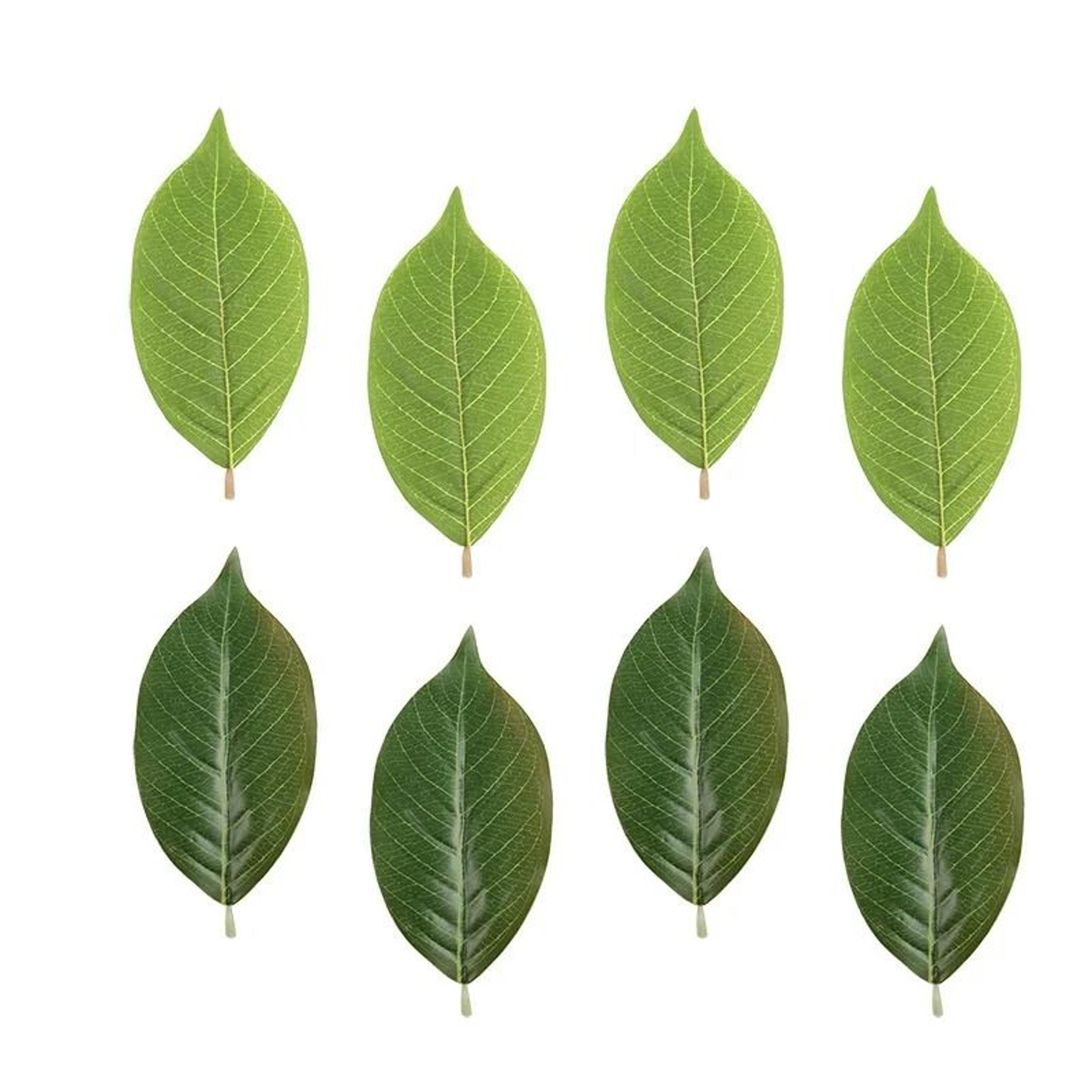botanical narrative sculpture – high-definition magnolia leaf architectural set