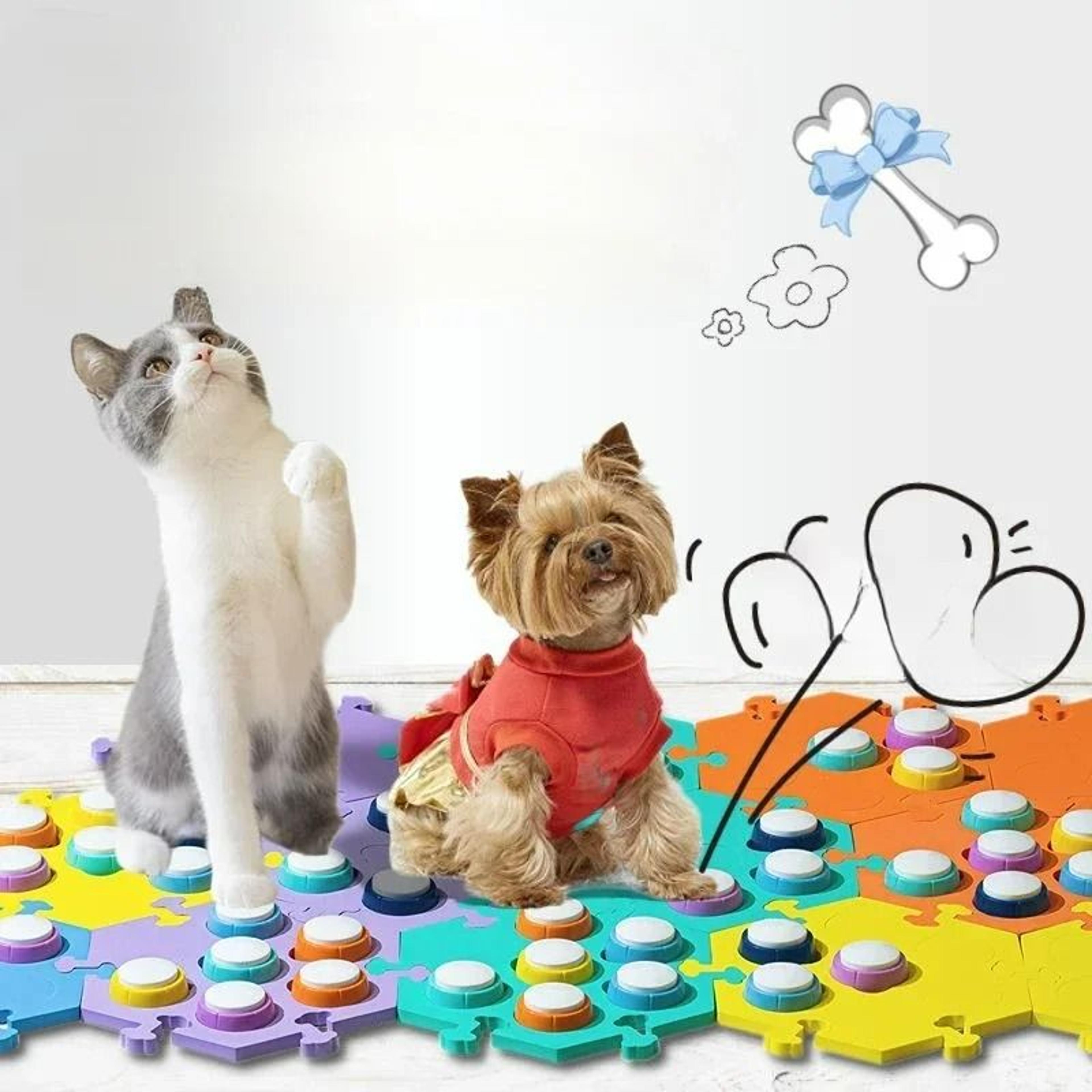 interactive pet communication buttons