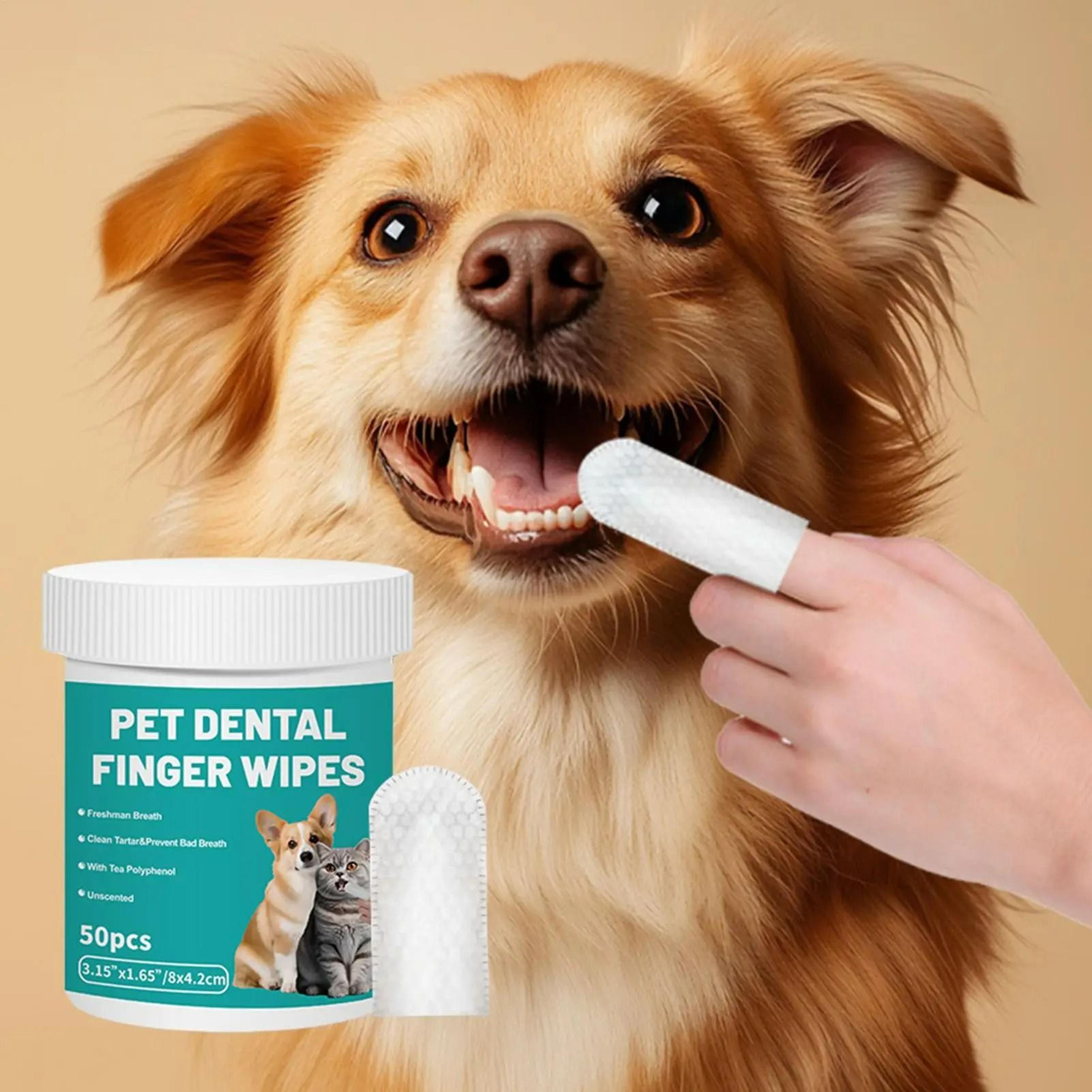 50-piece advanced pet dental wipes – disposable finger pads for fresh breath & healthy gums