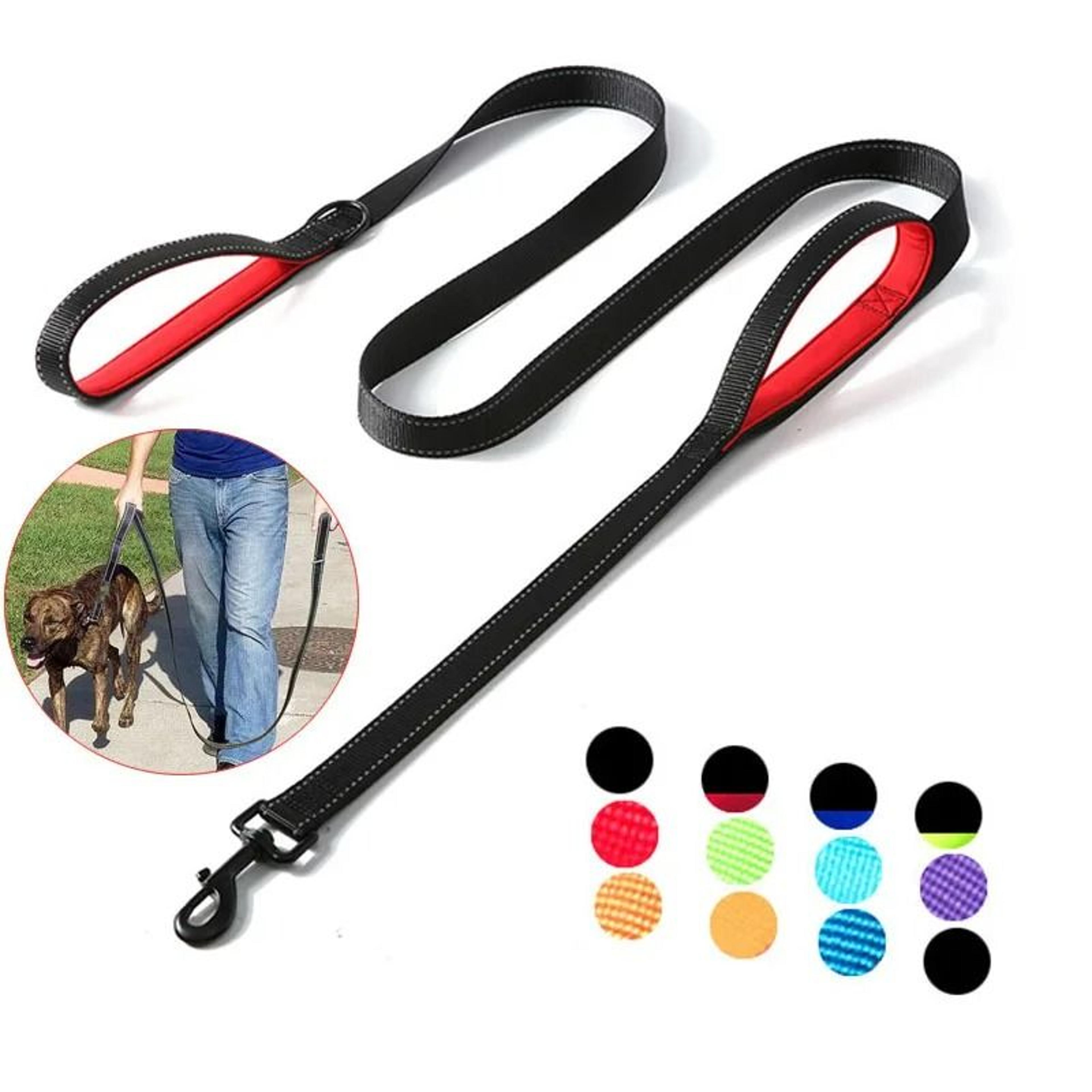 two-handle heavy duty training leash – dual-control reinforced nylon lead for high-traffic control